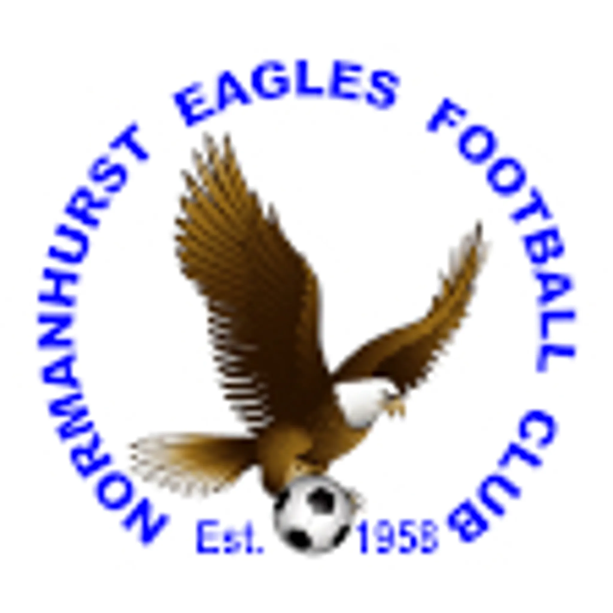 Normanhurst Eagles Football Club