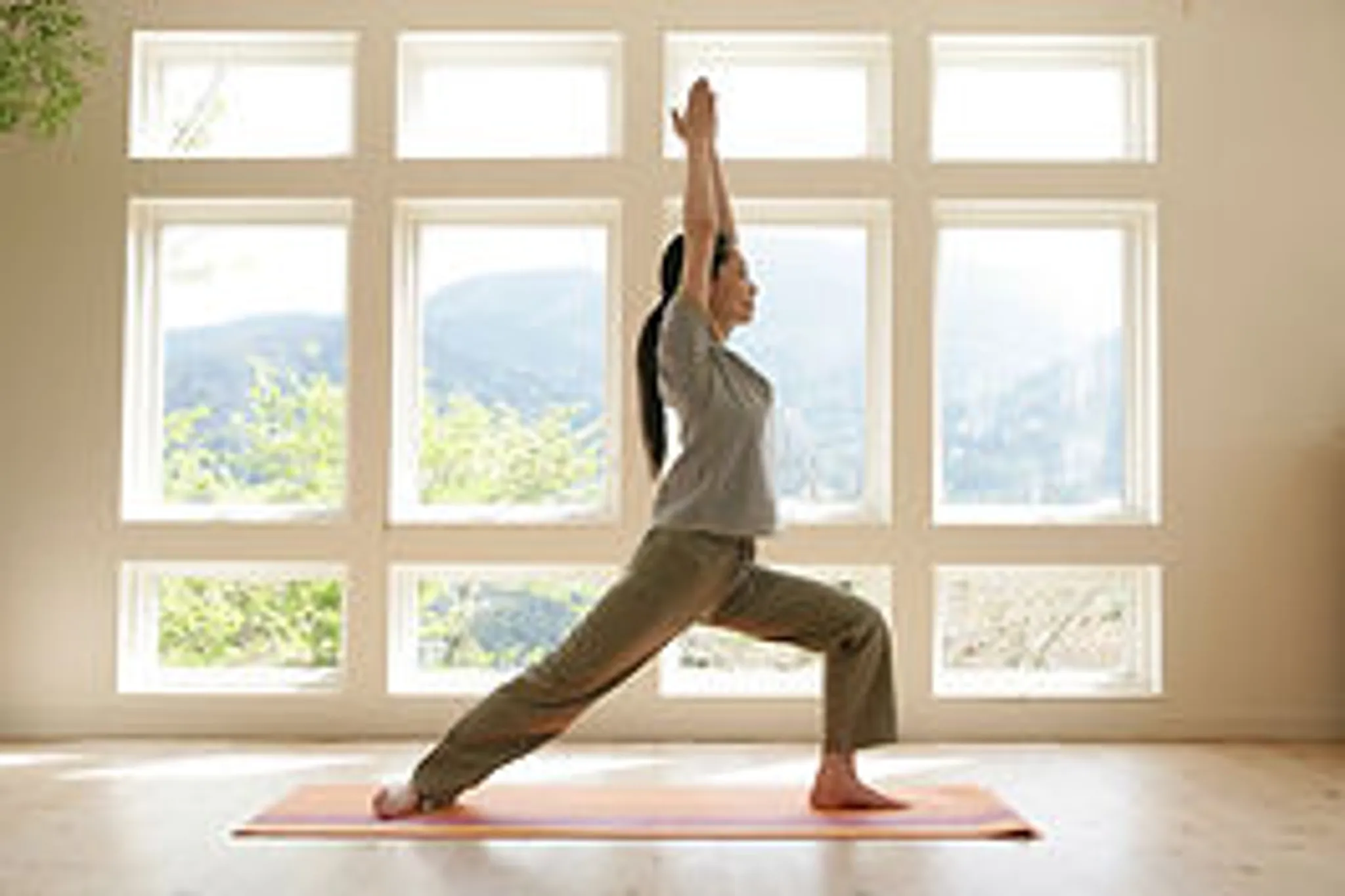 Studio Les Chemins Du Yoga