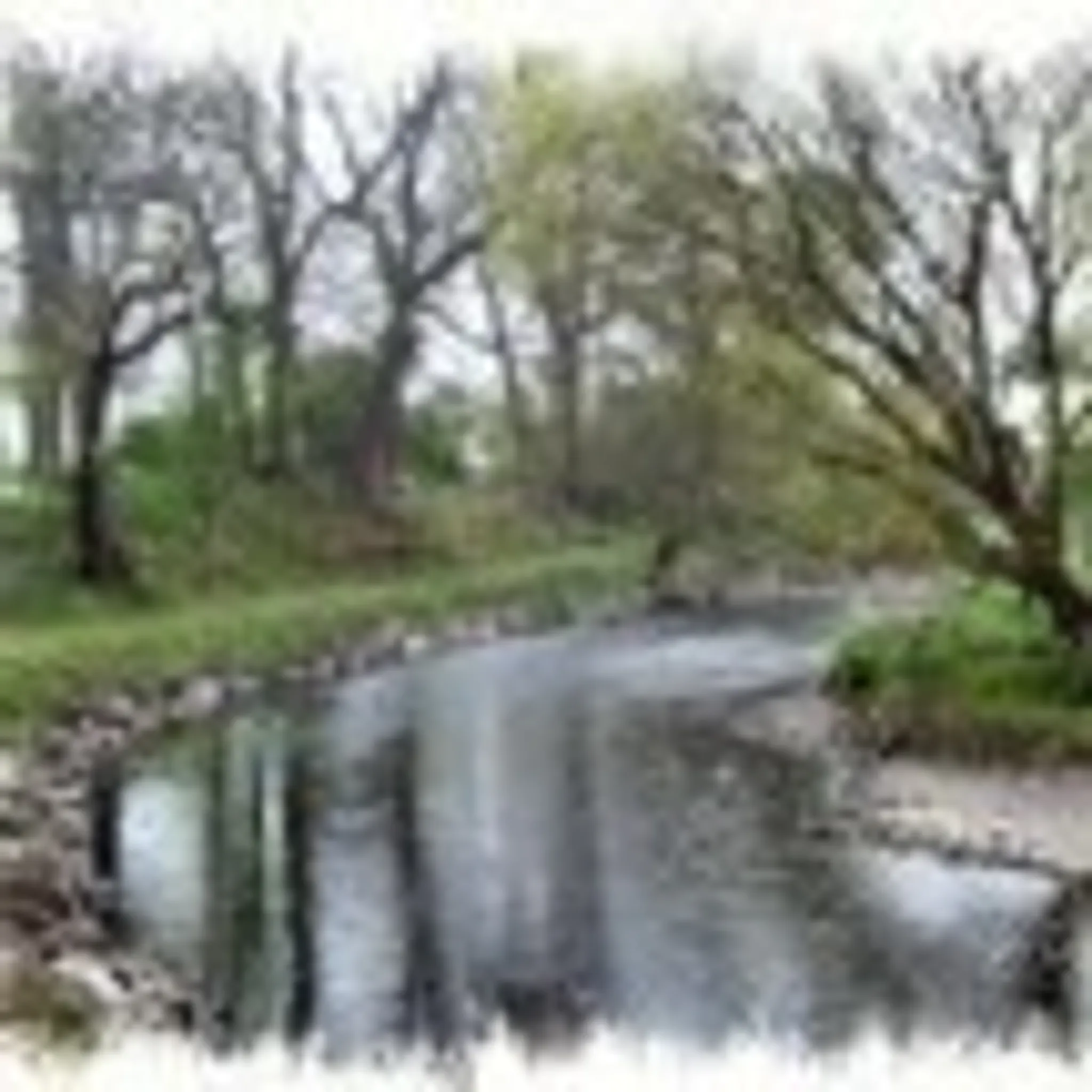 Abercorn Angling Club