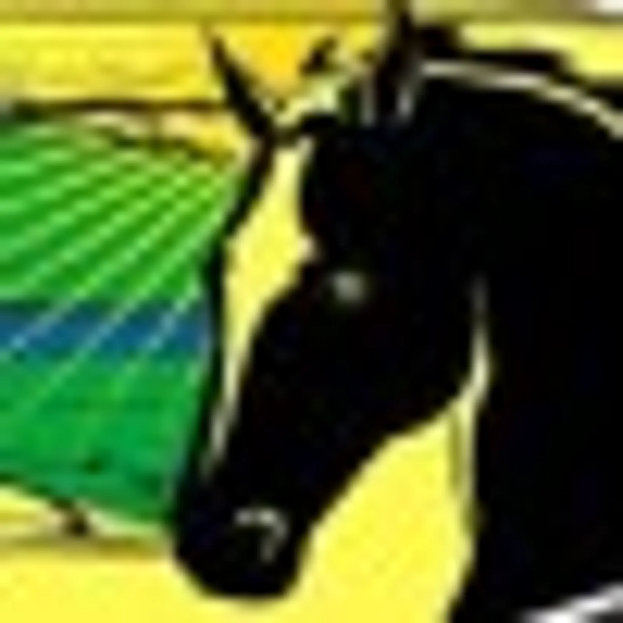 Cedar Lake Equestrian Centre