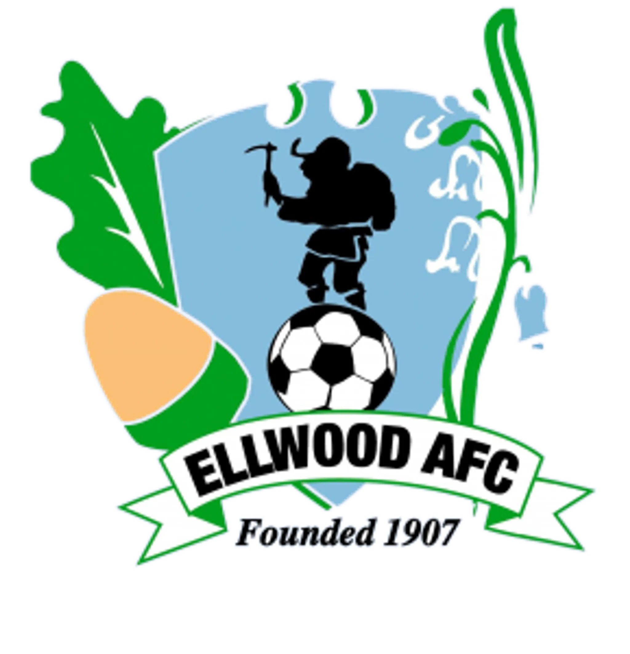 Ellwood Football Club