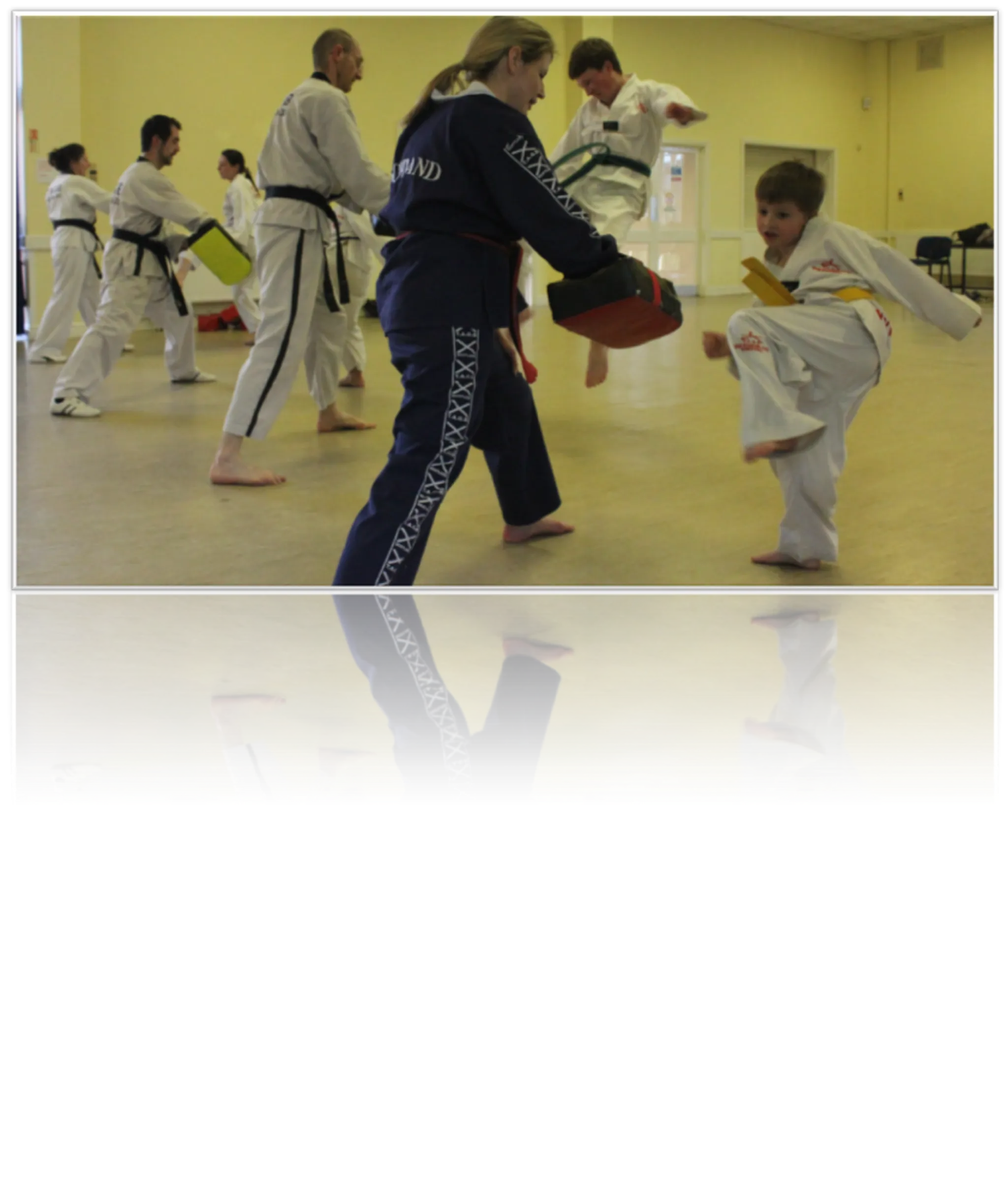 Stafford and Stone Tae Kwon Do