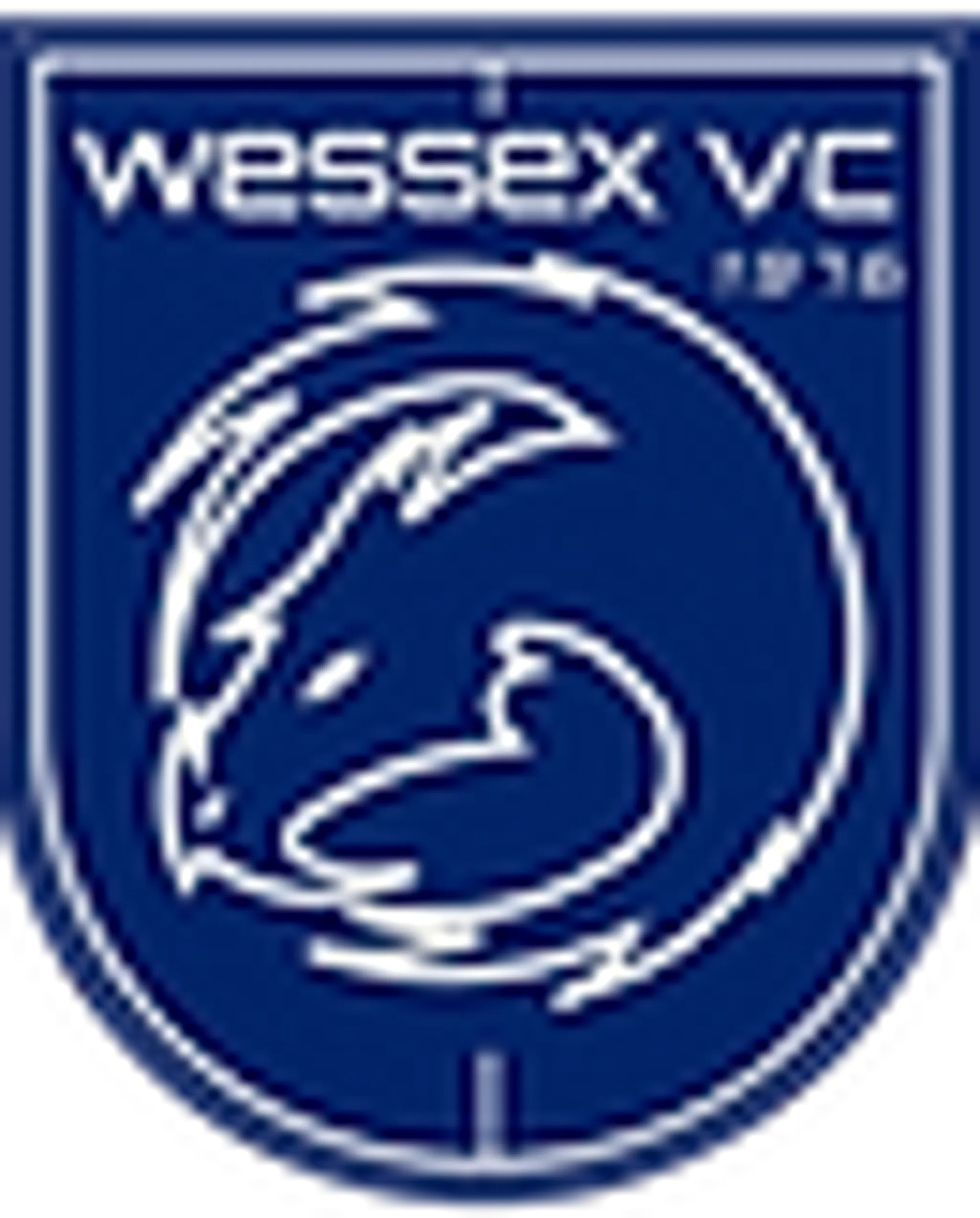 Wessex Volleyball Club