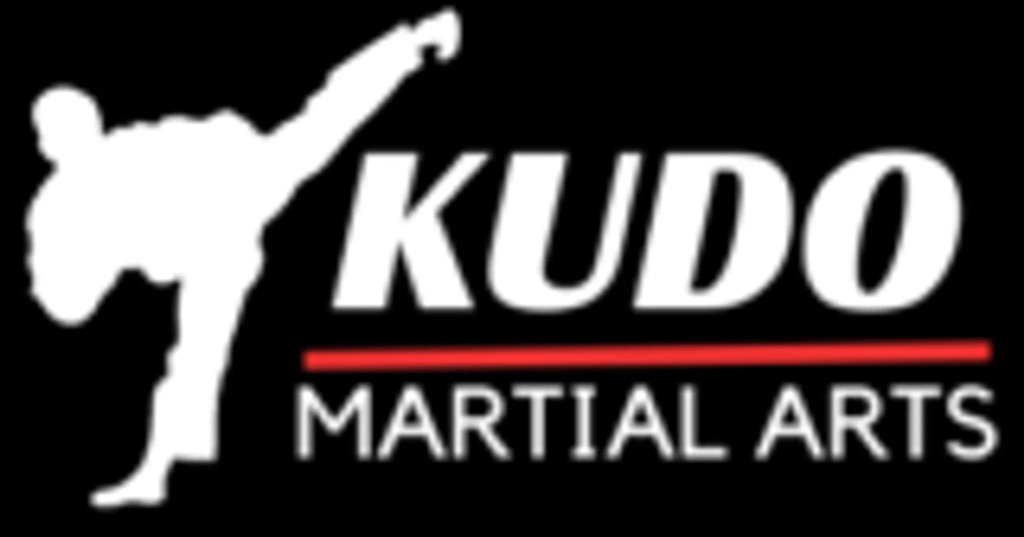 Kudo karate Academy |best karate academy Bhiwadi