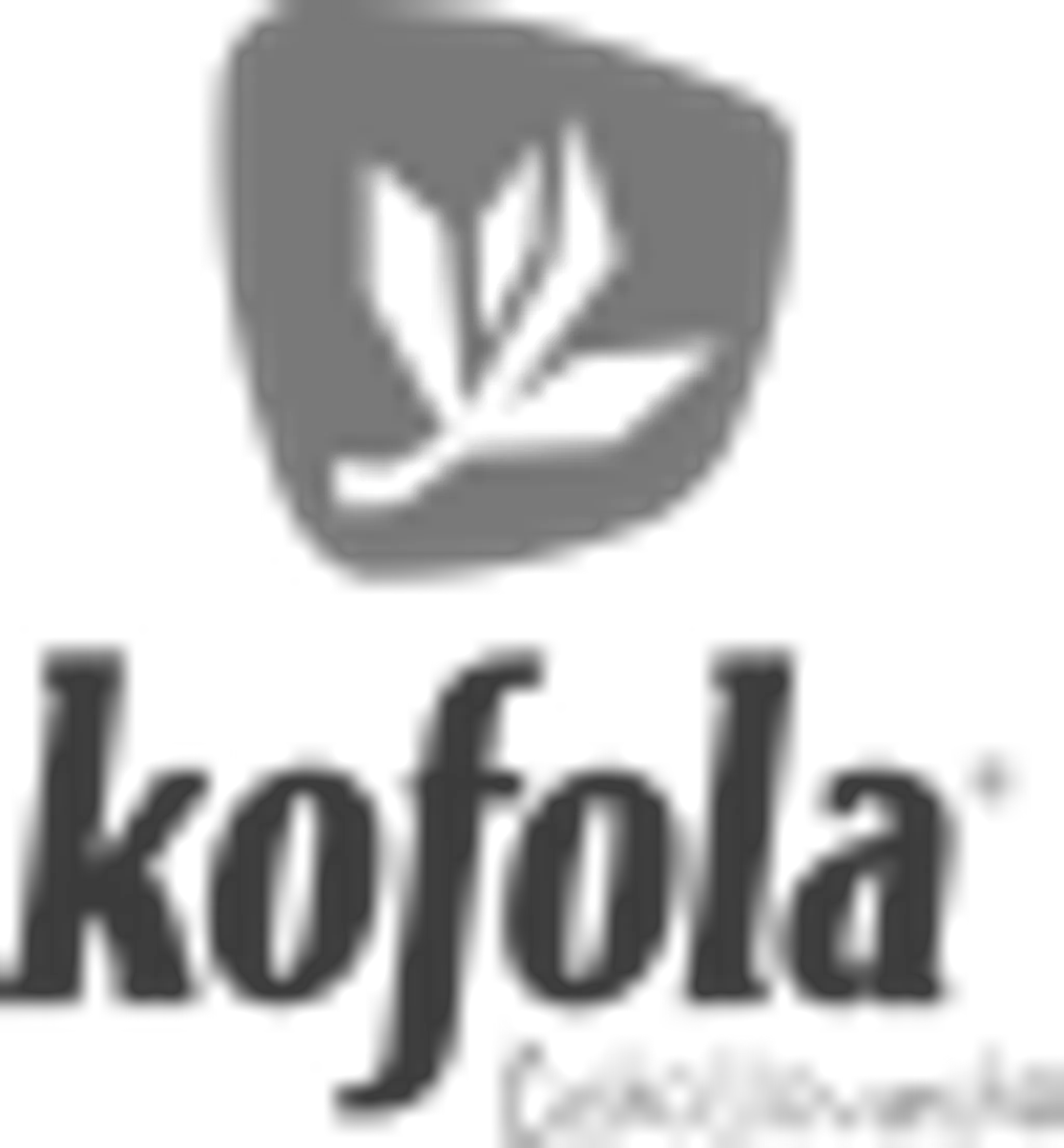 Vysoké Tatry — Hory zážitkov • Tatranská Lomnica