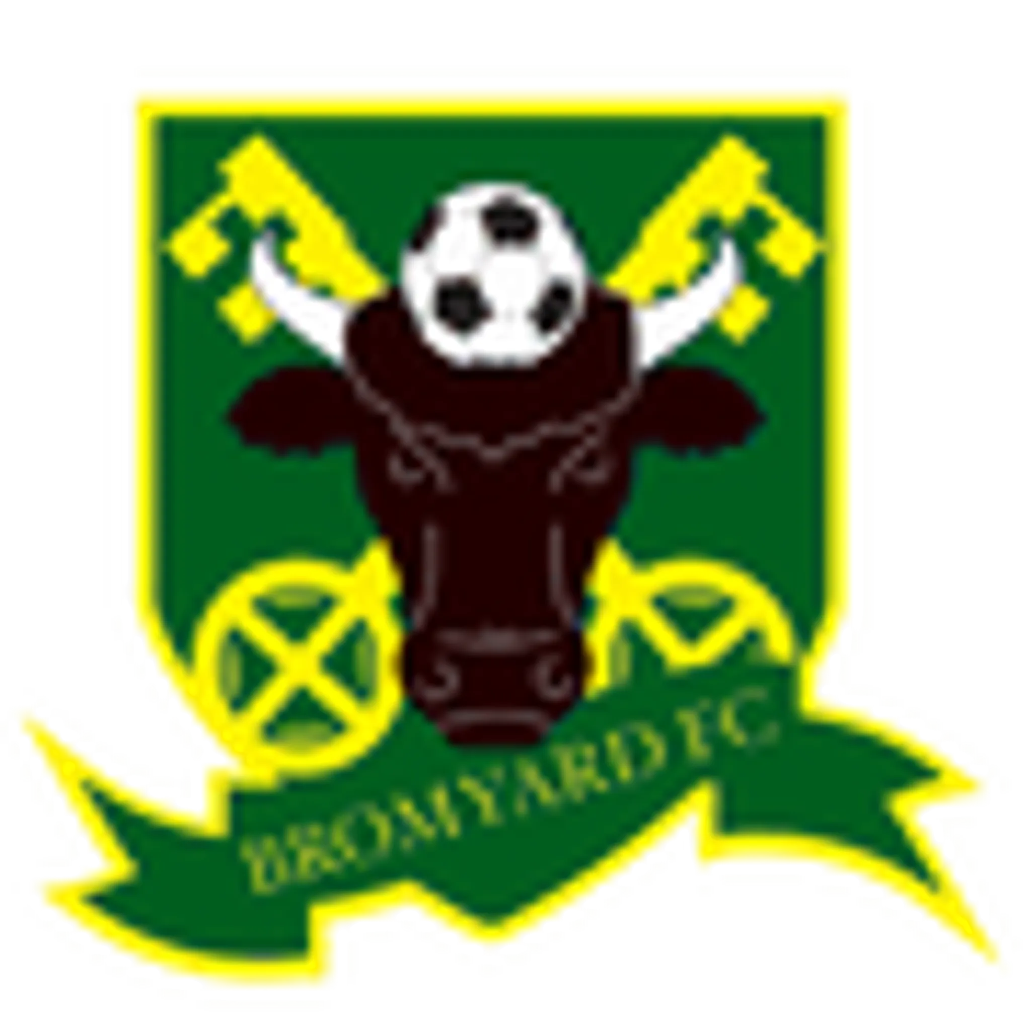 Bromyard Town Football Club, Delahay Meadow