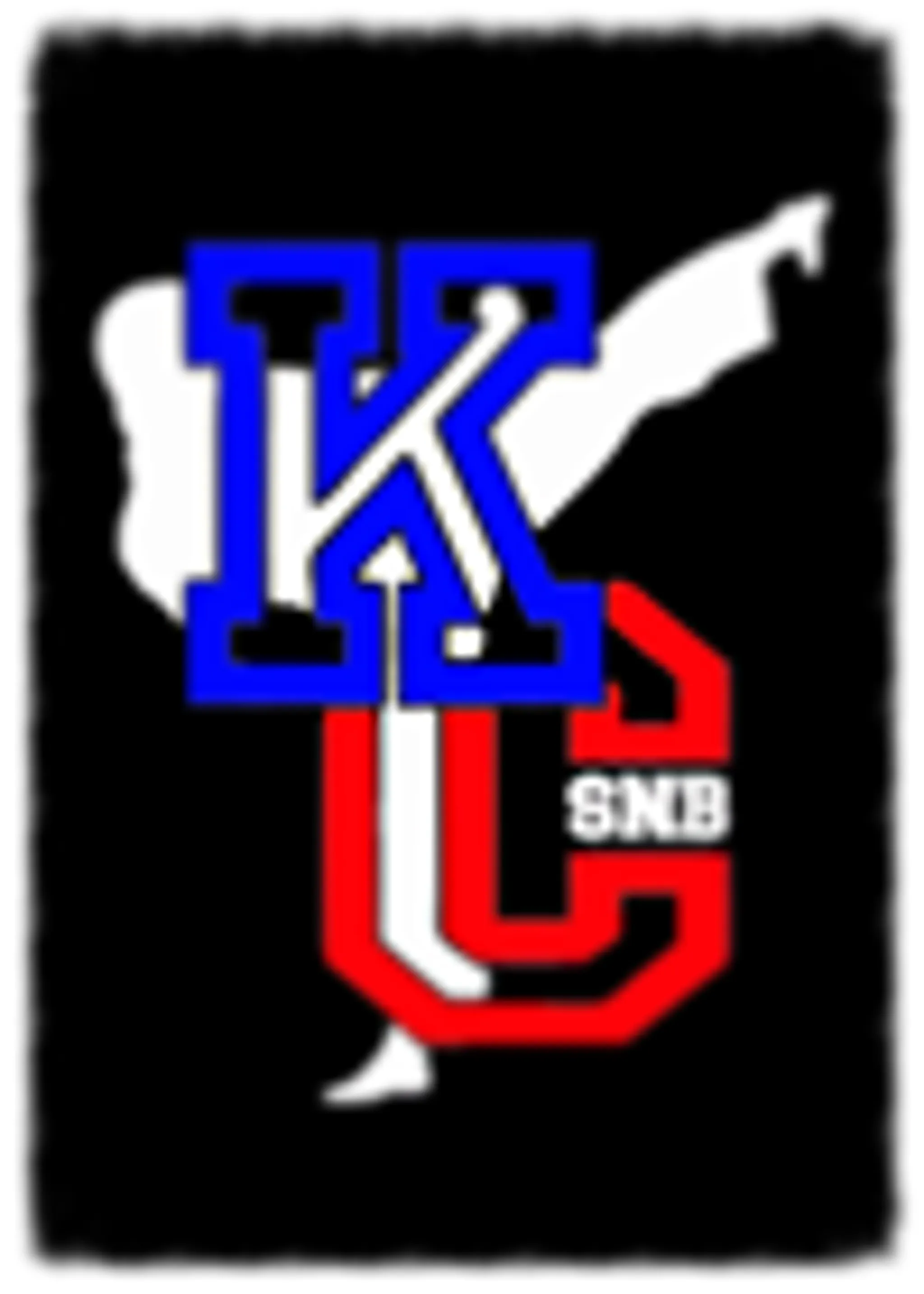 USSNB Karaté Saint Nom La Bretèche