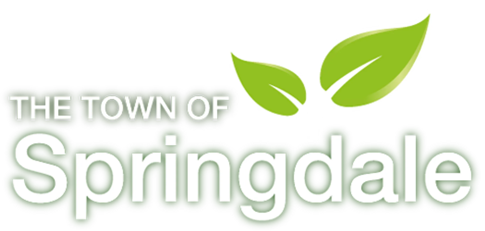 Springdale Swimming Pool