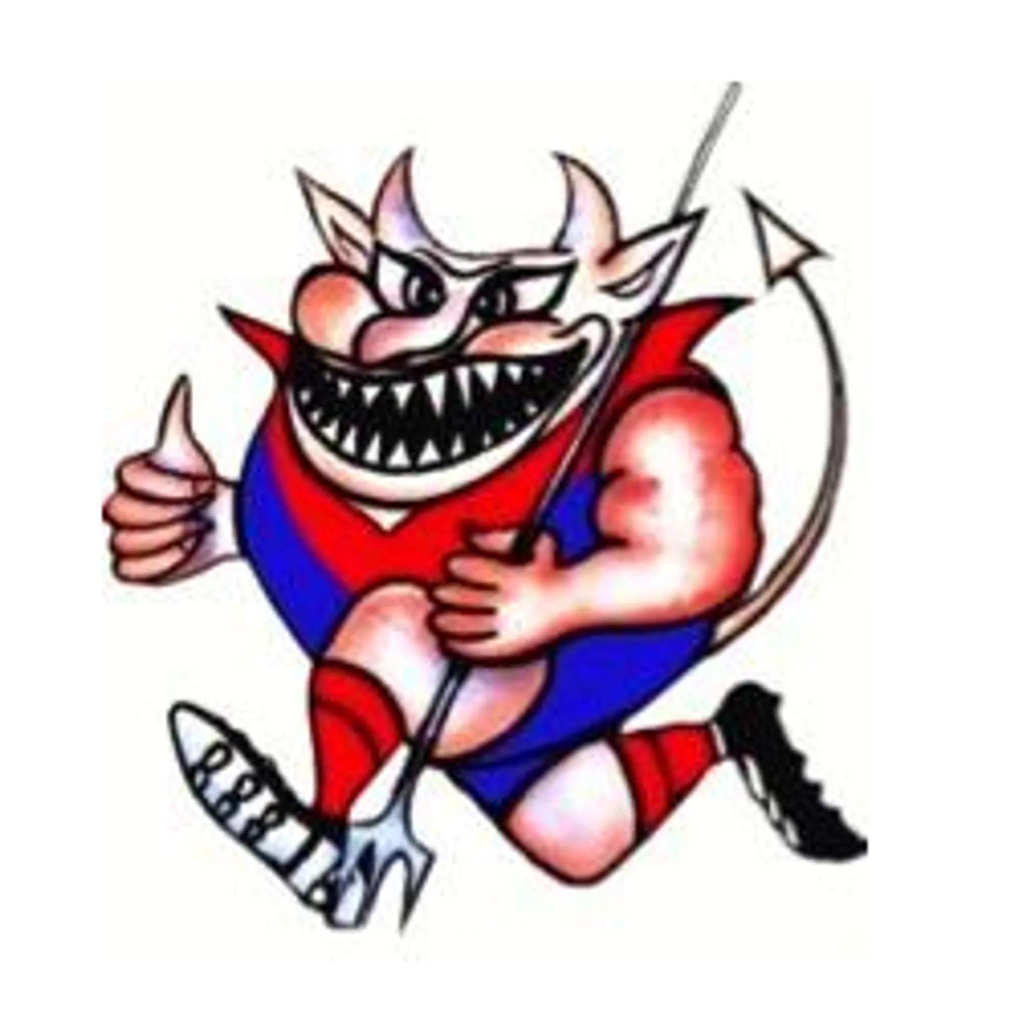 Portarlington Demons Football Netball Club