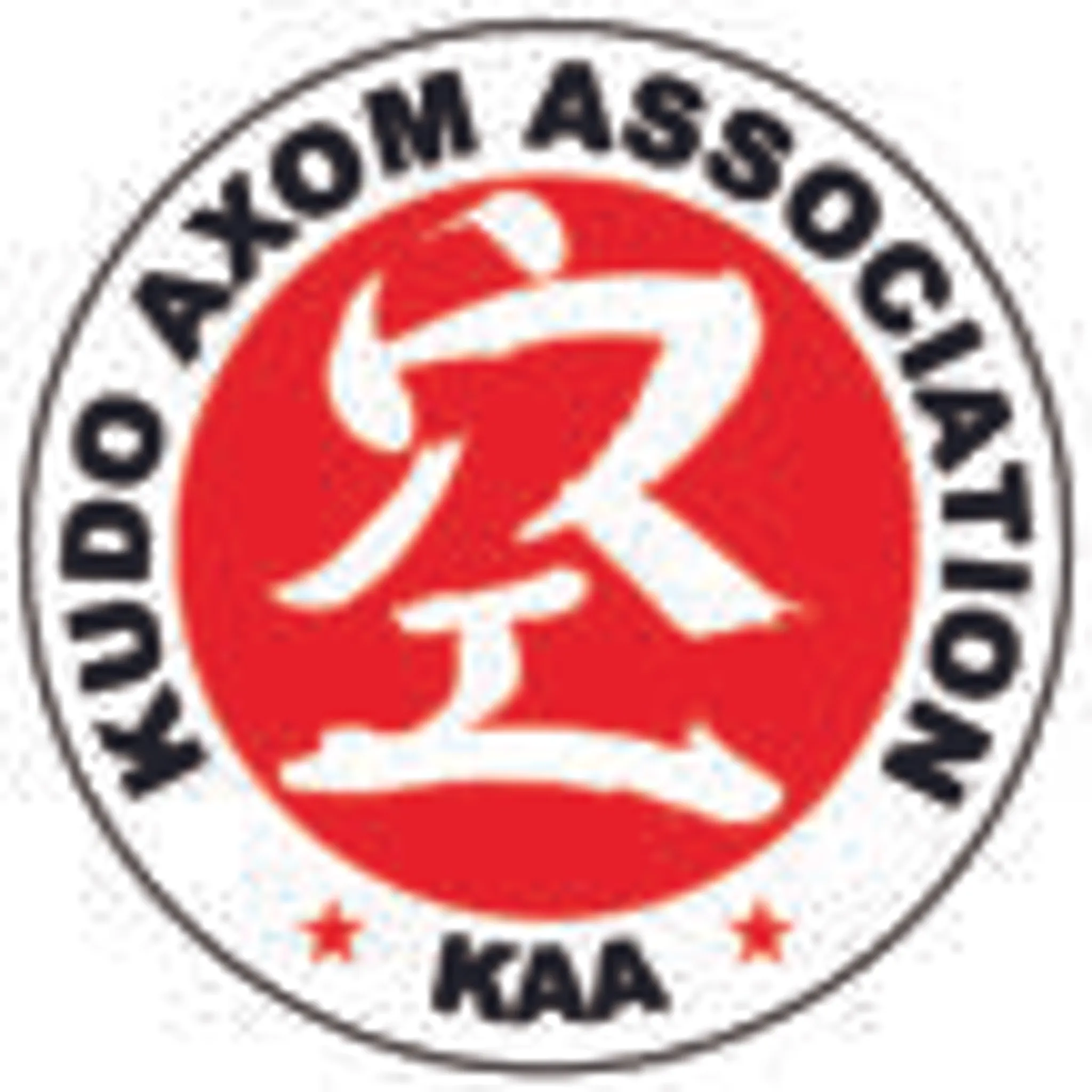 Kudo Martial art Academy