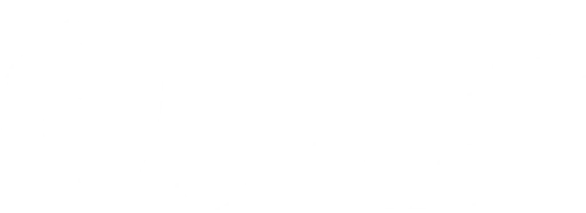 Nimble and Wild Pilates