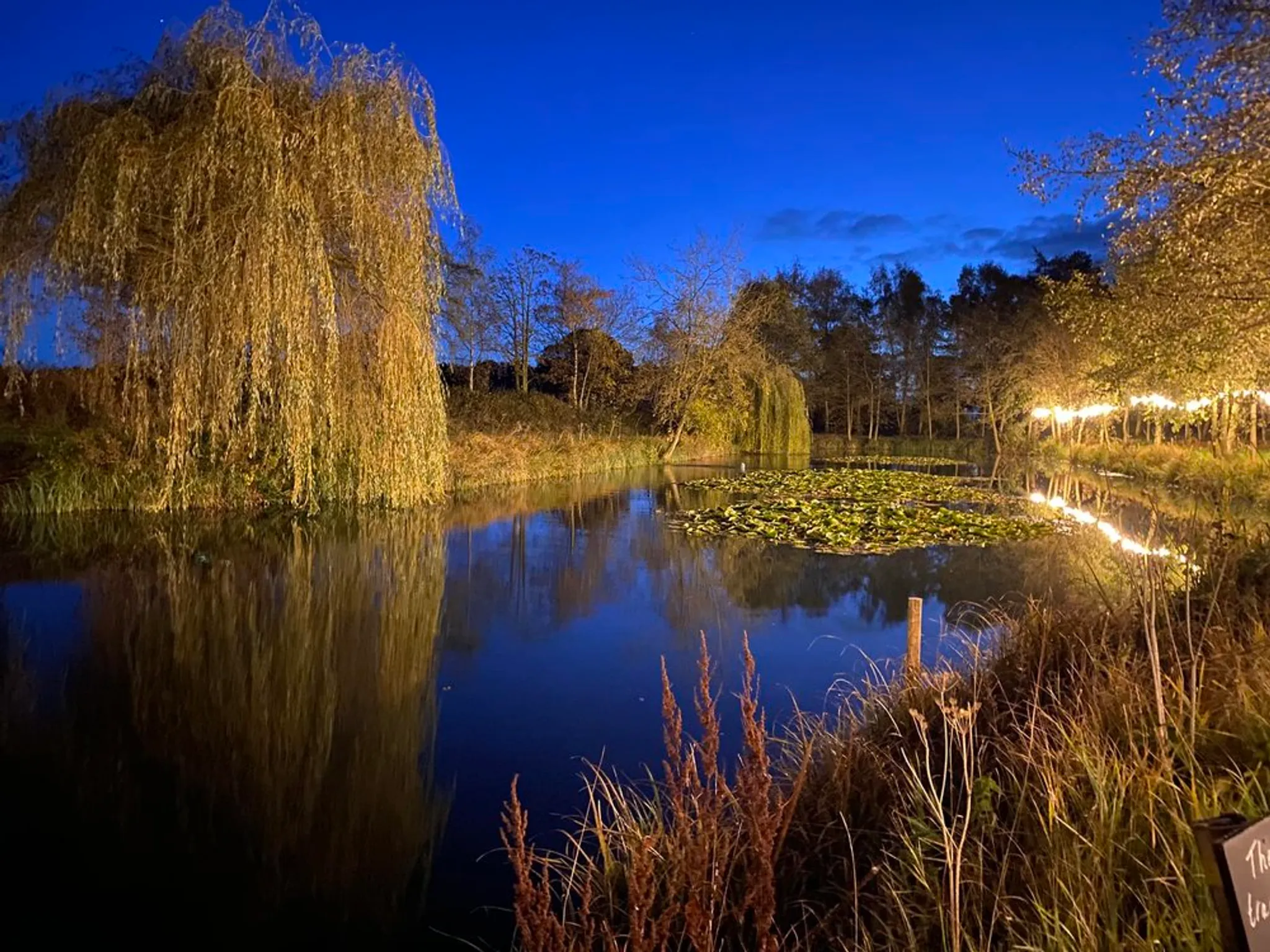 Winter Swimming Pool Bridge Farm