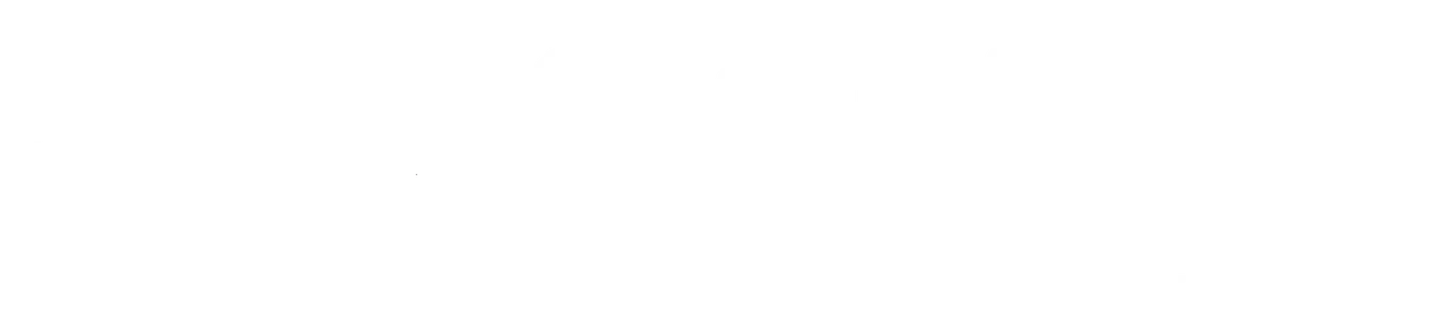 The Movement Fitness & Wellbeing