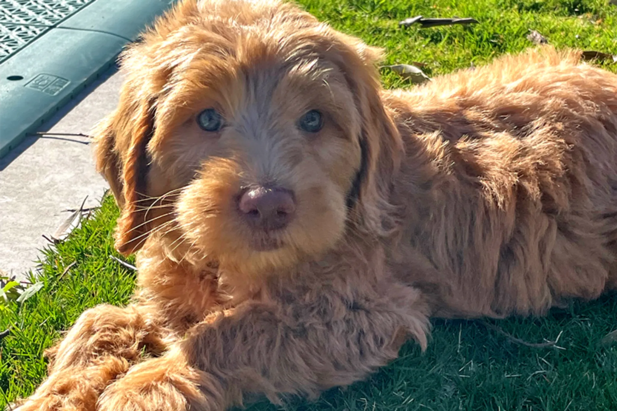 Early Learning Open Day