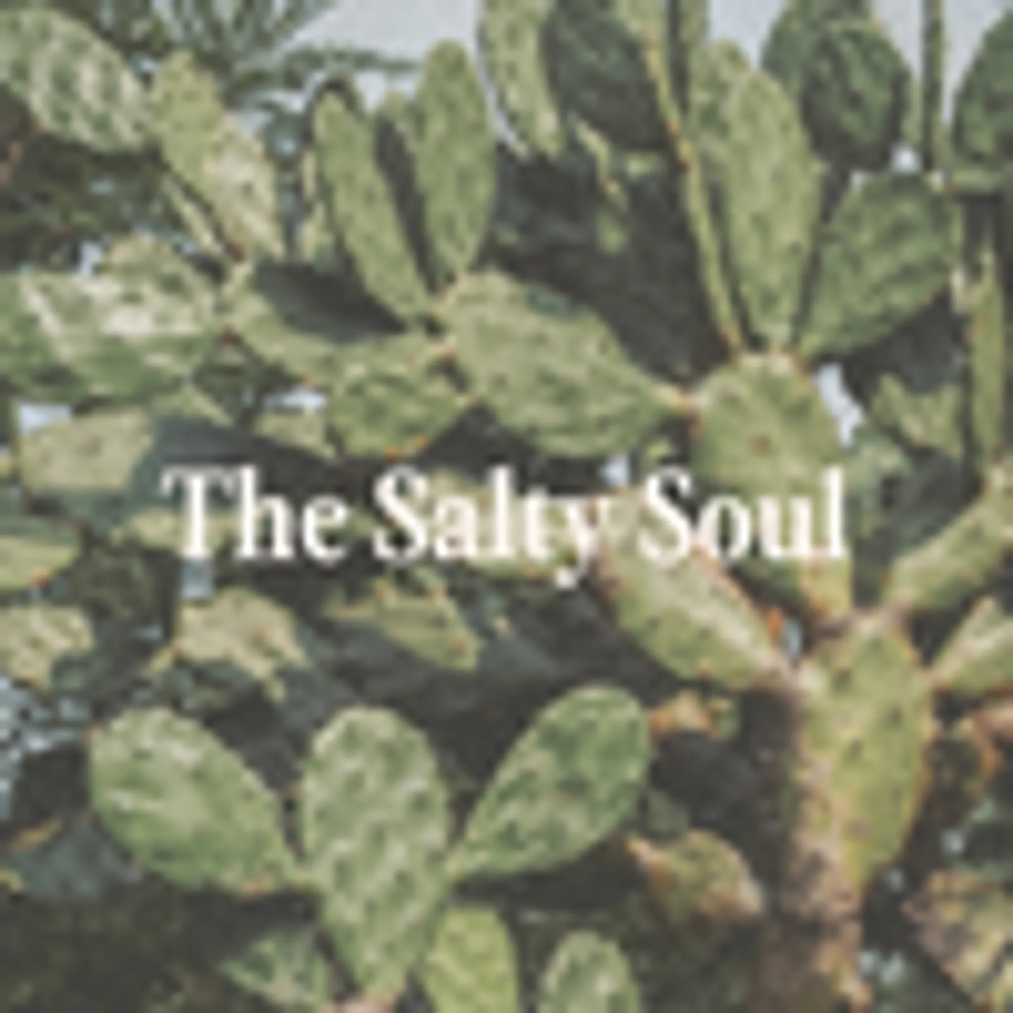 The Salty Soul