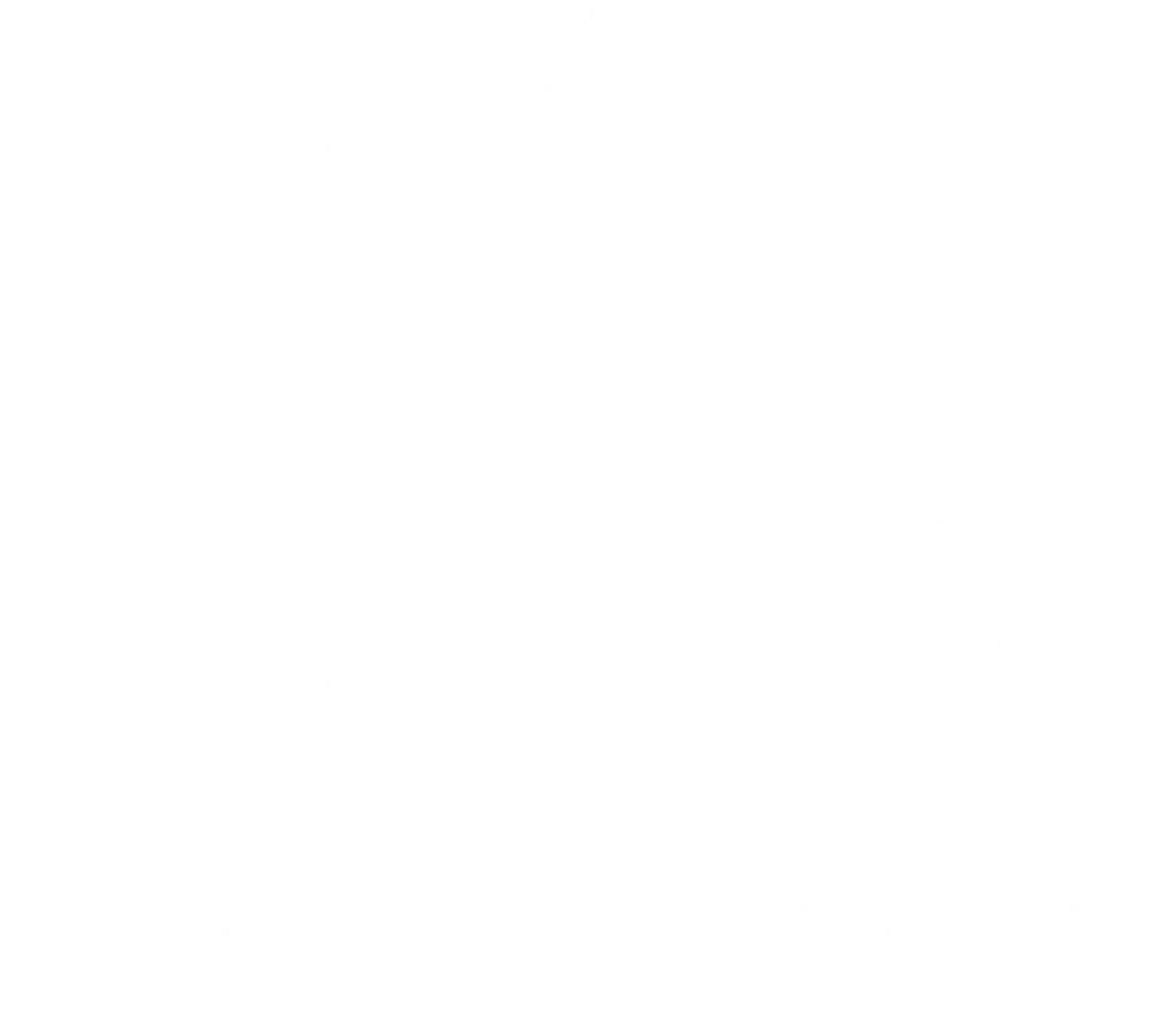Karpov Ballet Academy