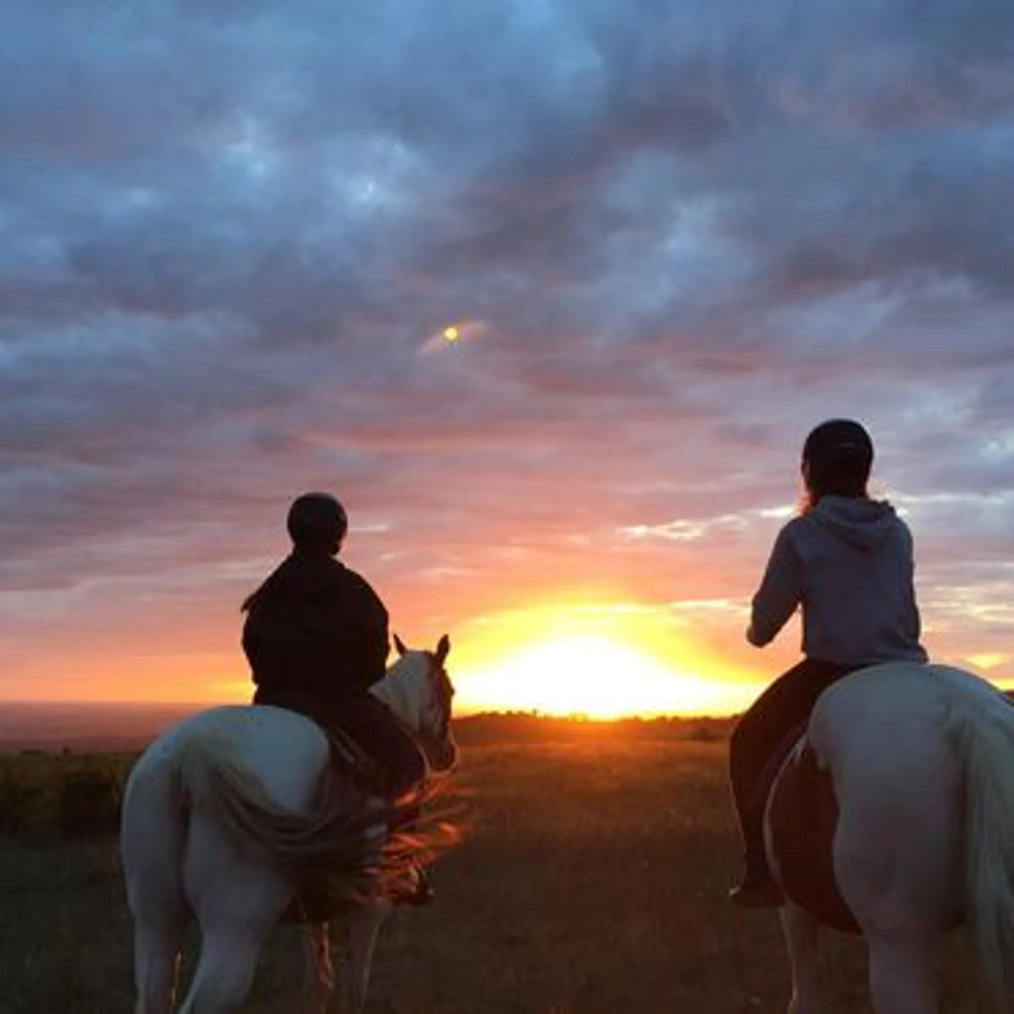 Equestrian Center Le Raziguet