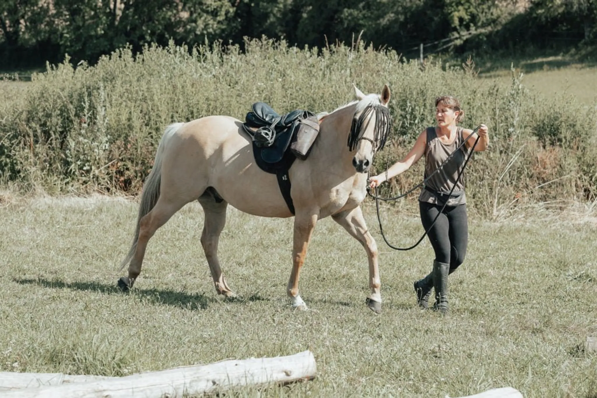 La Chevauchée Briarde 2024