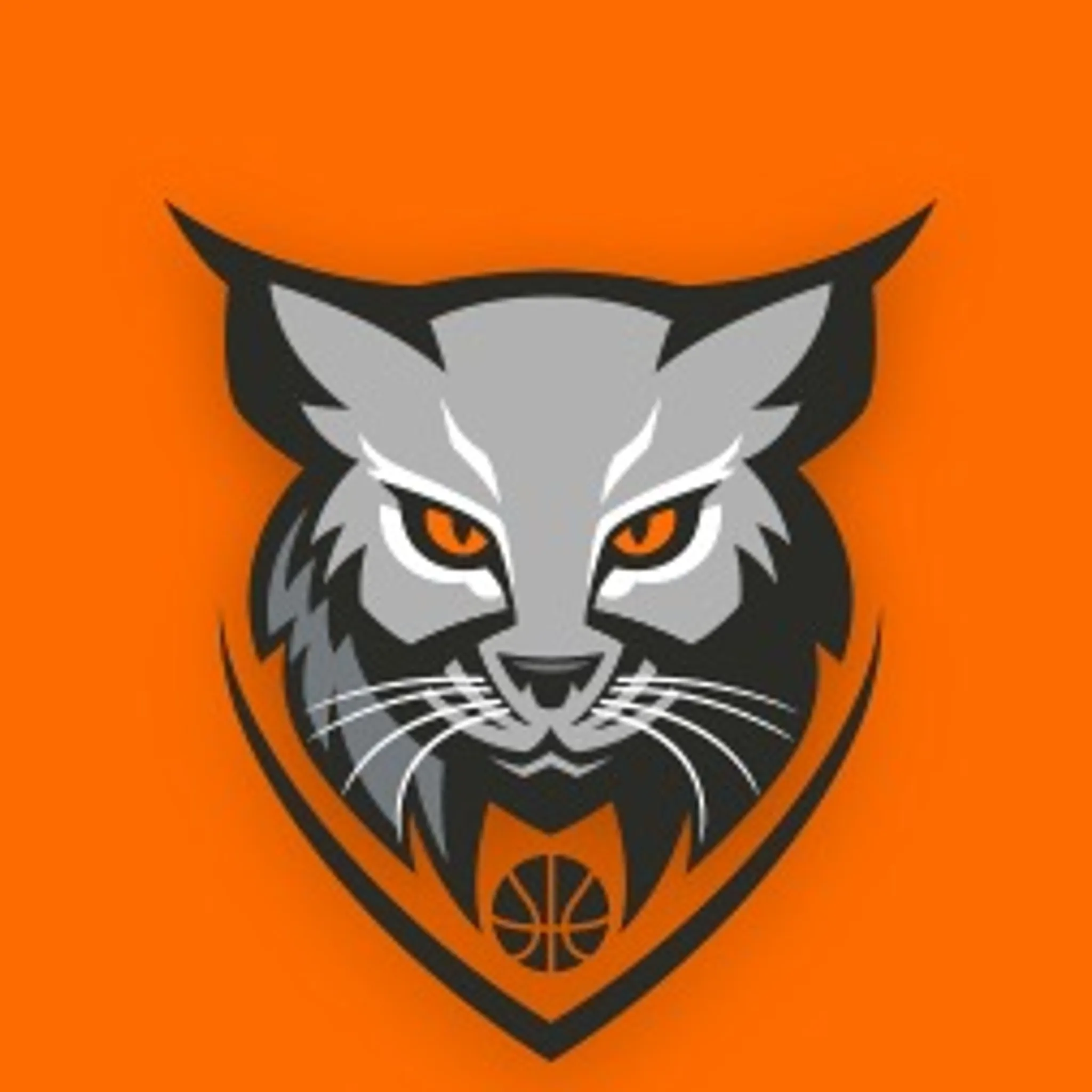 Riverina Bobcats 3X3 Basketball Club
