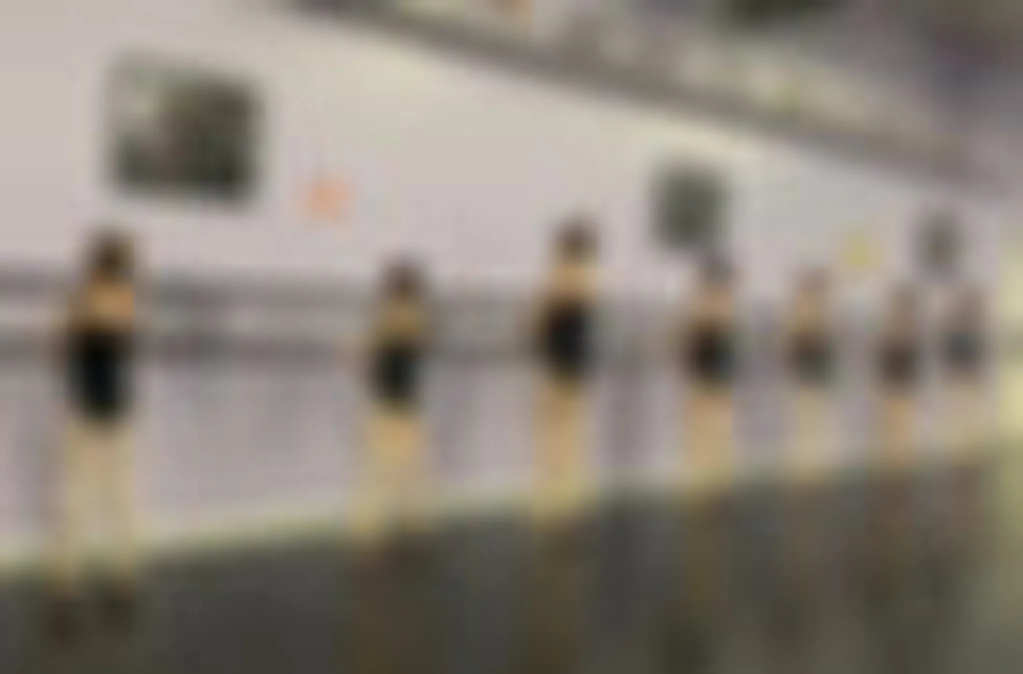 Stoney Brook Dance Company