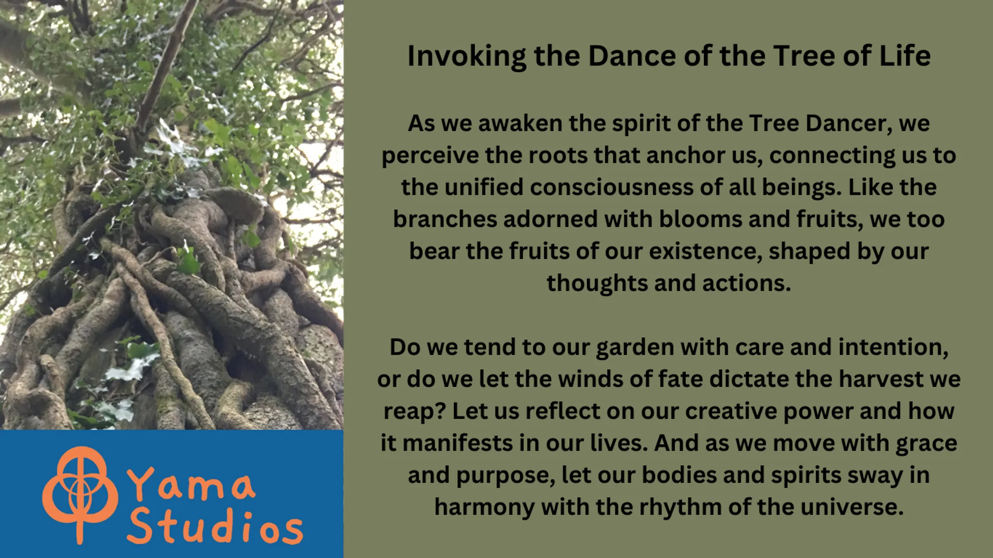 TREE OF LIFE Movement Medicine with Susan