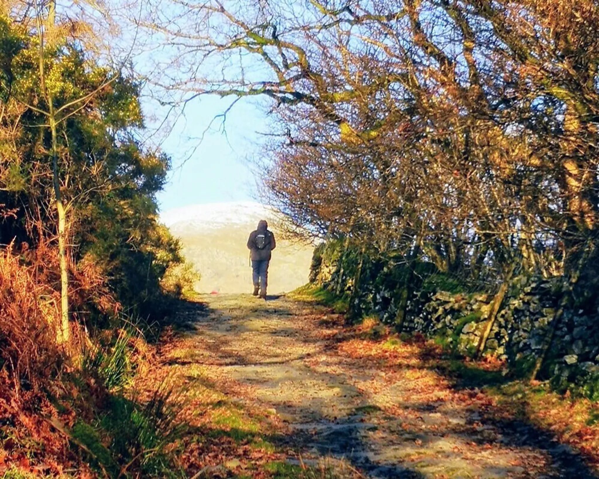 Nutrition & Wellbeing Nutrition & Lifestyle Consultation