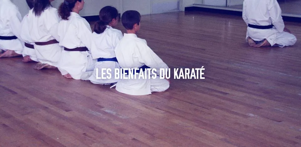 Cours ceintures violettes et plus Cours ceintures violettes et plus
