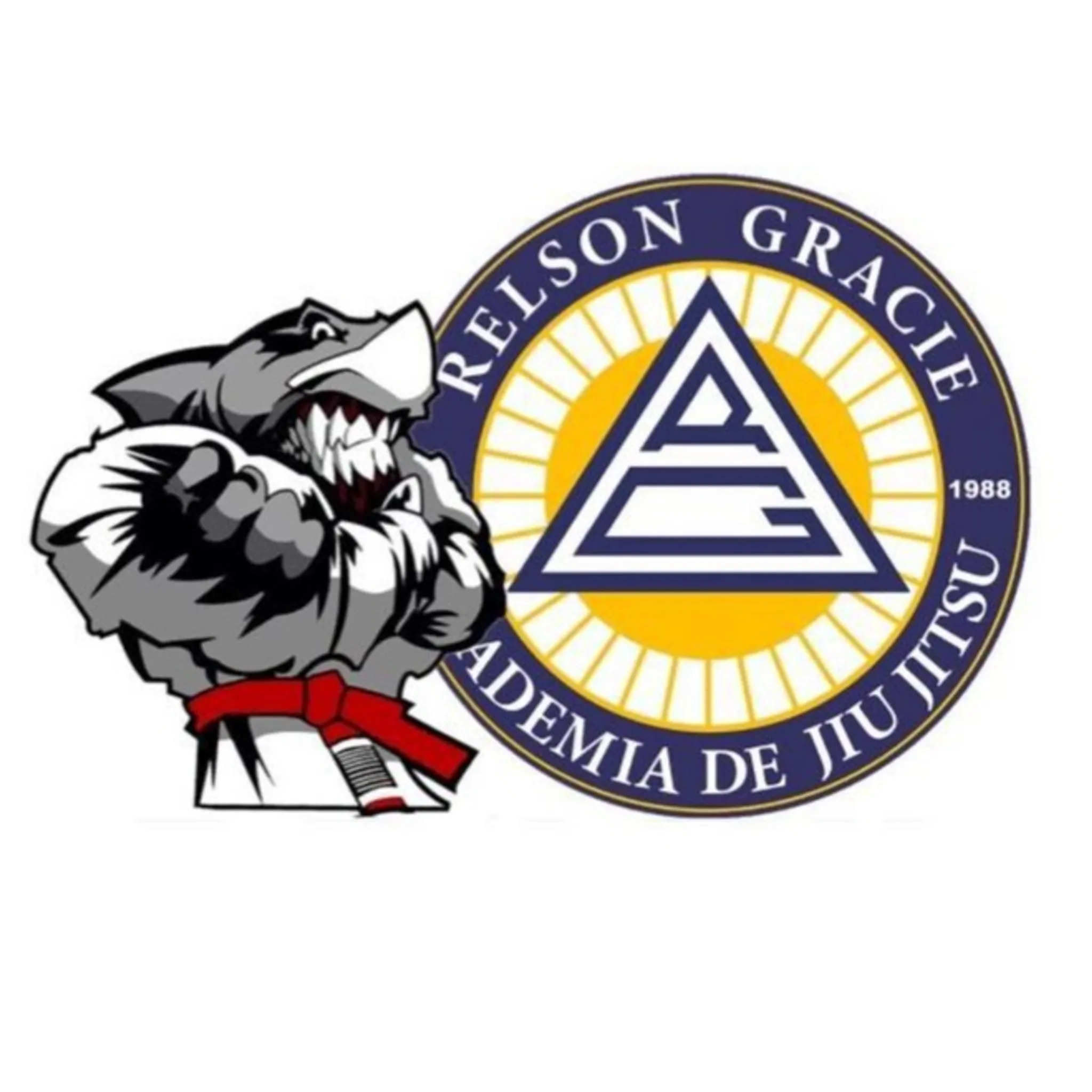 Relson Gracie Association - Dee Why