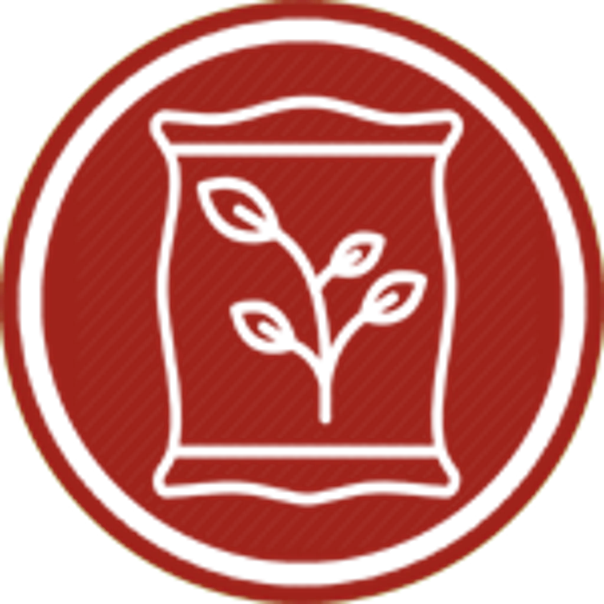 Shape & Size Fitness Point