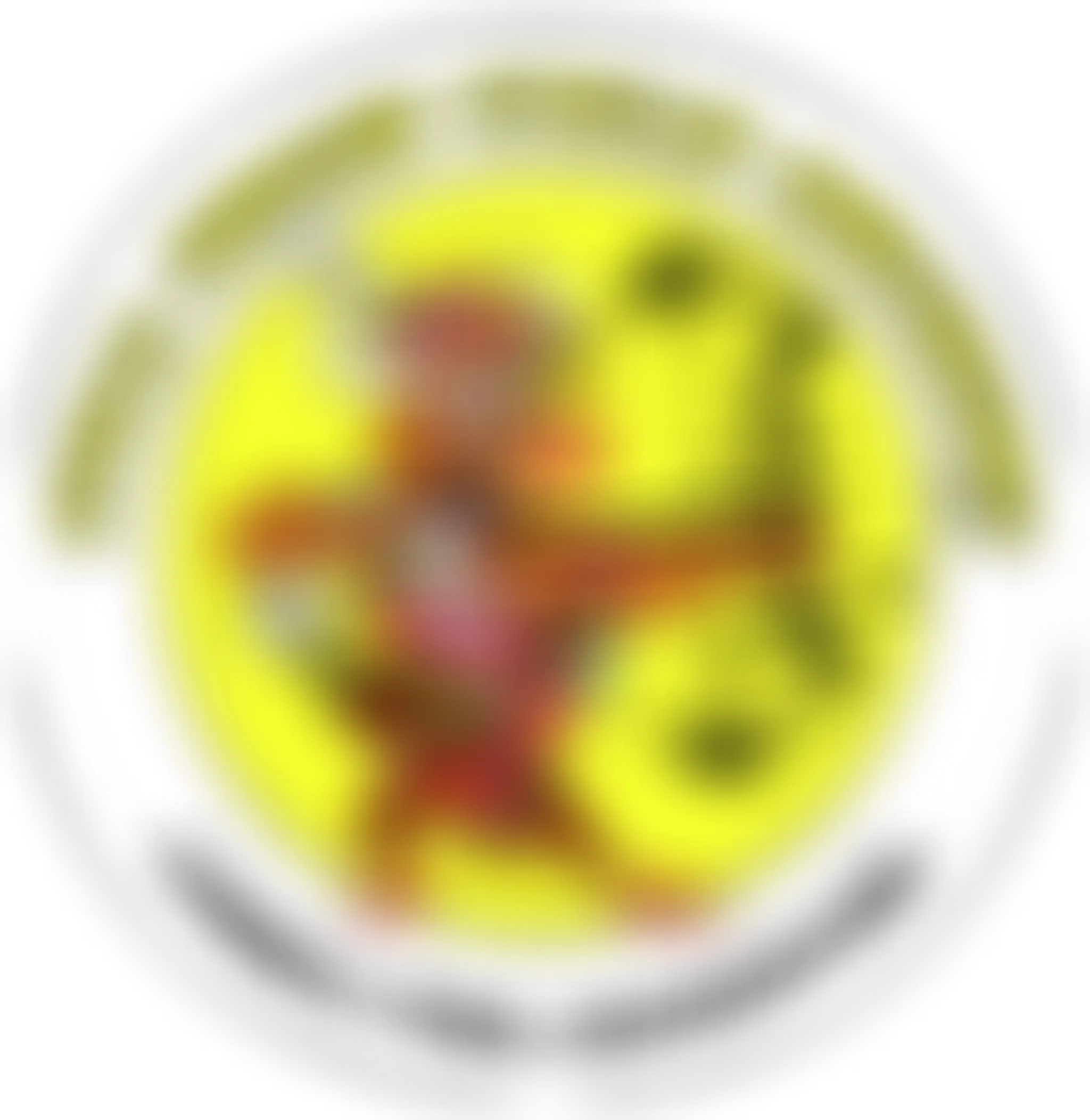 Full draw field archers