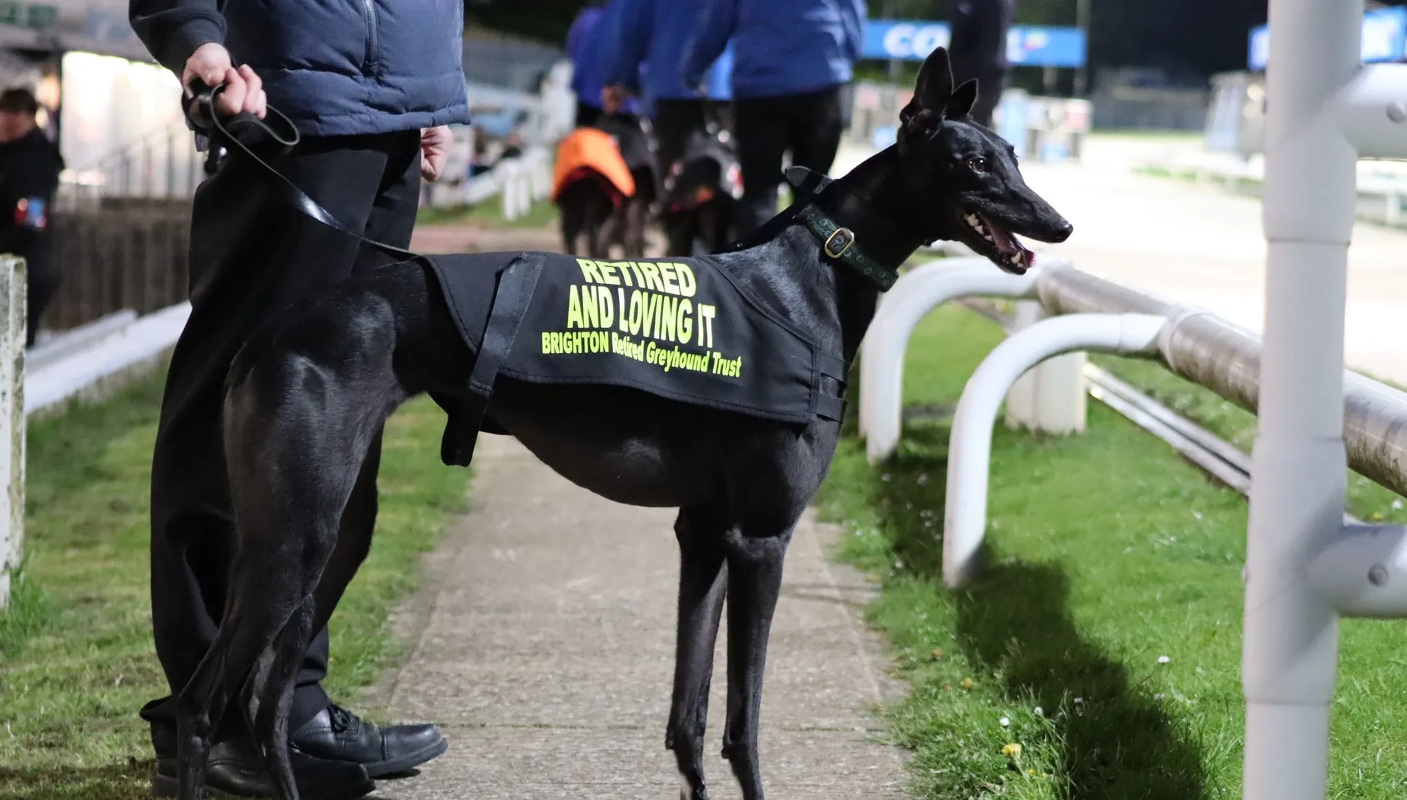 Brighton & Hove Greyhound Kennels