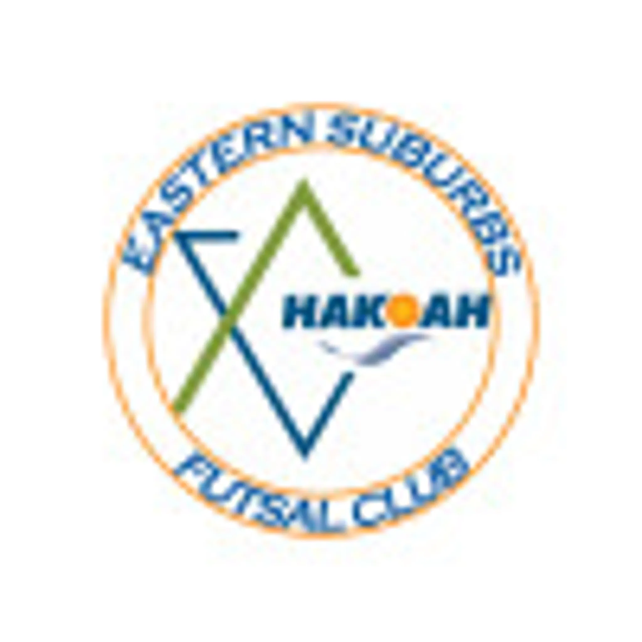 Sydney Futsal Club, FNSW Futsal NPL2 Mens/Womens/Youth