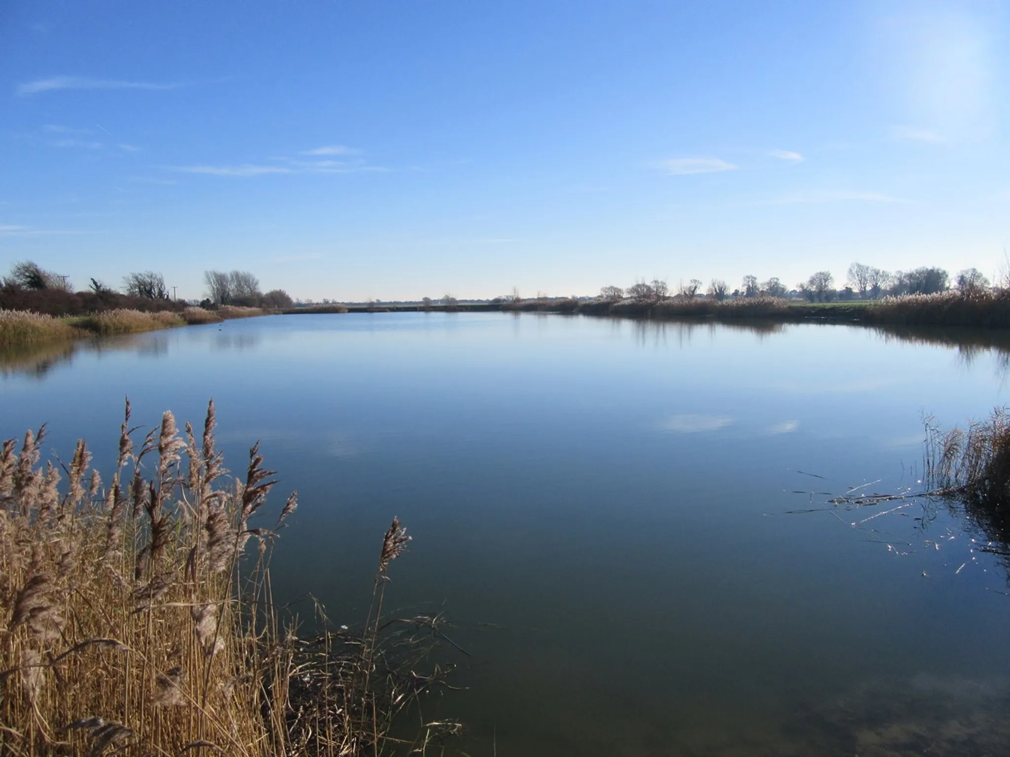 Cranbrook and District Angling Club Juniors