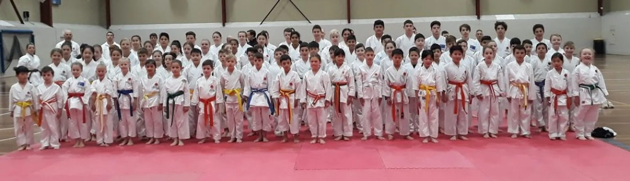 Shoto Karate - Shotokan