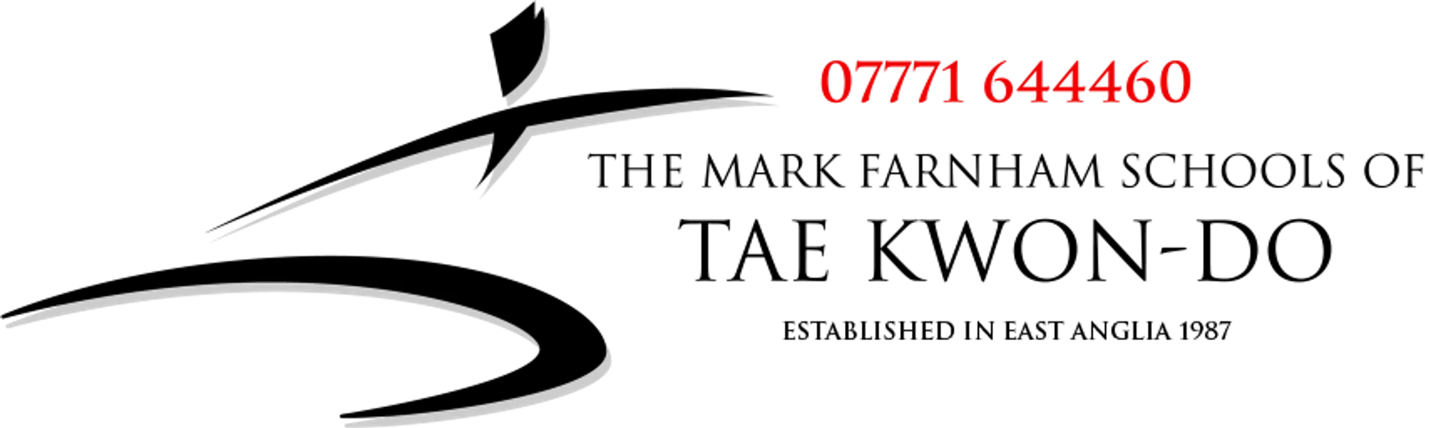 The Mark Farnham Schools of Tae Kwon-Do