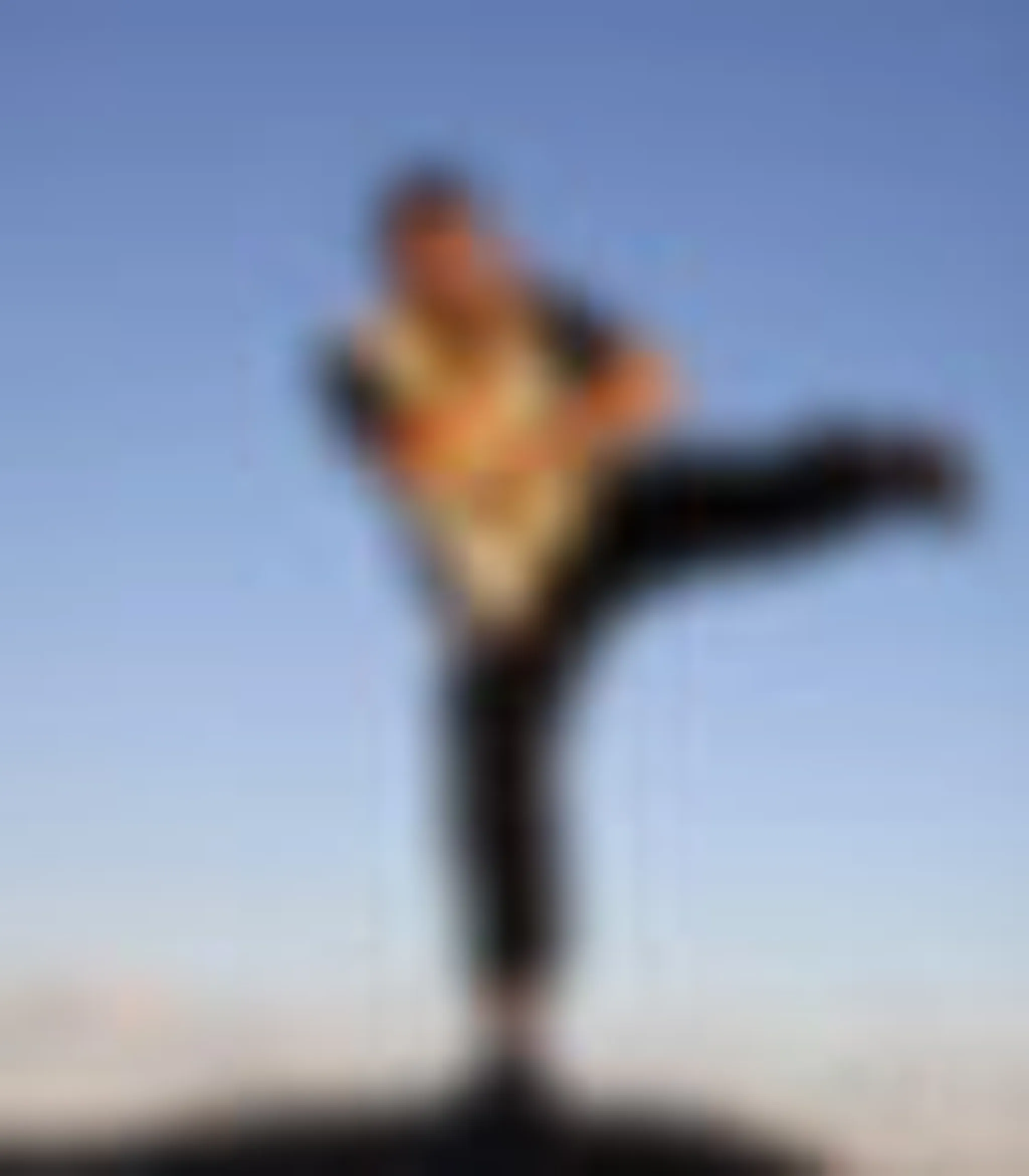 Shaolin Monk Martial Arts - Bondi