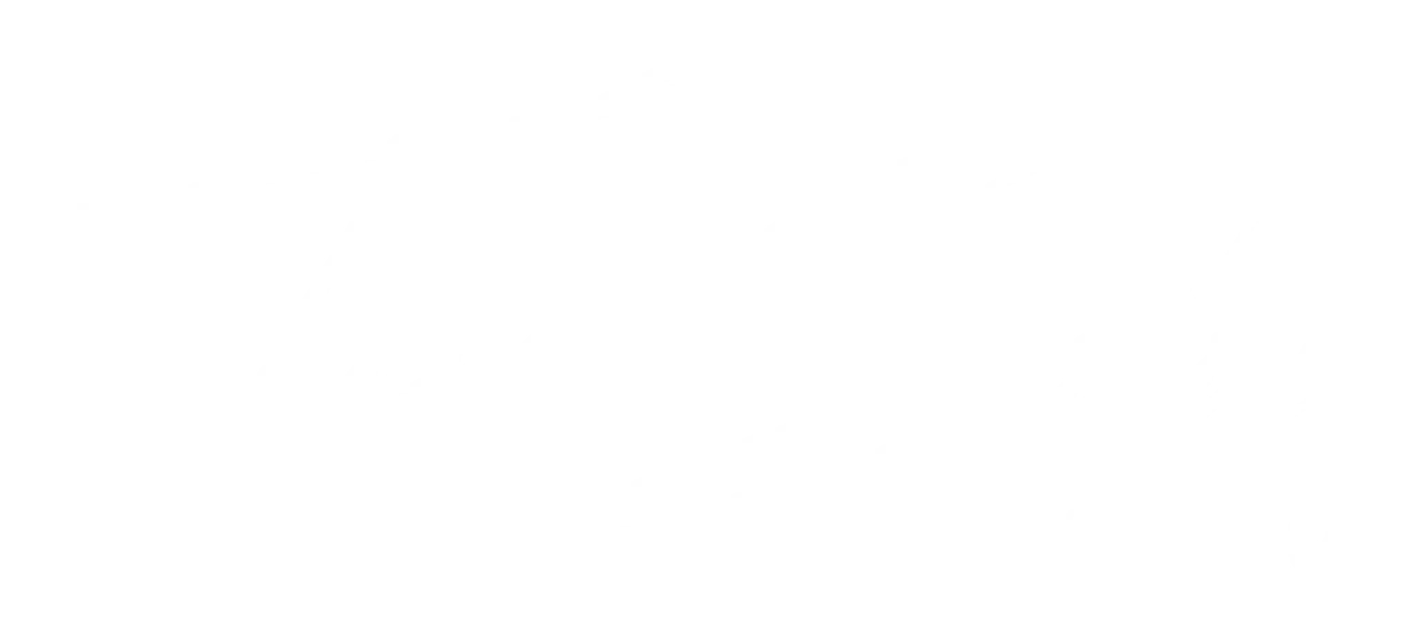 Tom Salvi Coach Sportif