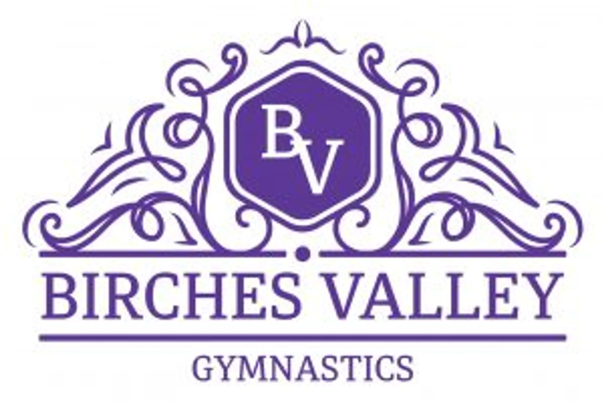 Birches Valley Gymnastics Club