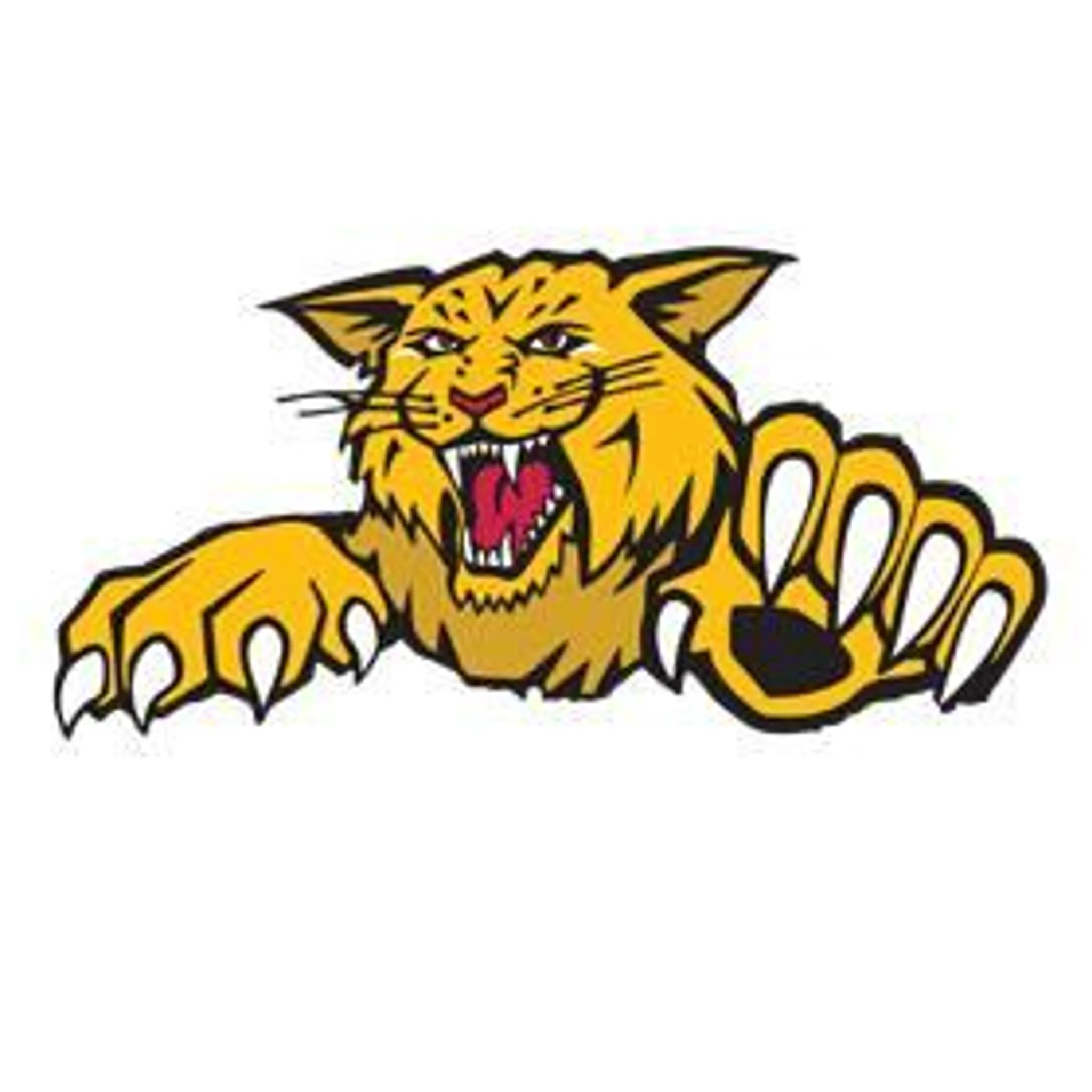 Withcott Football Club Inc.