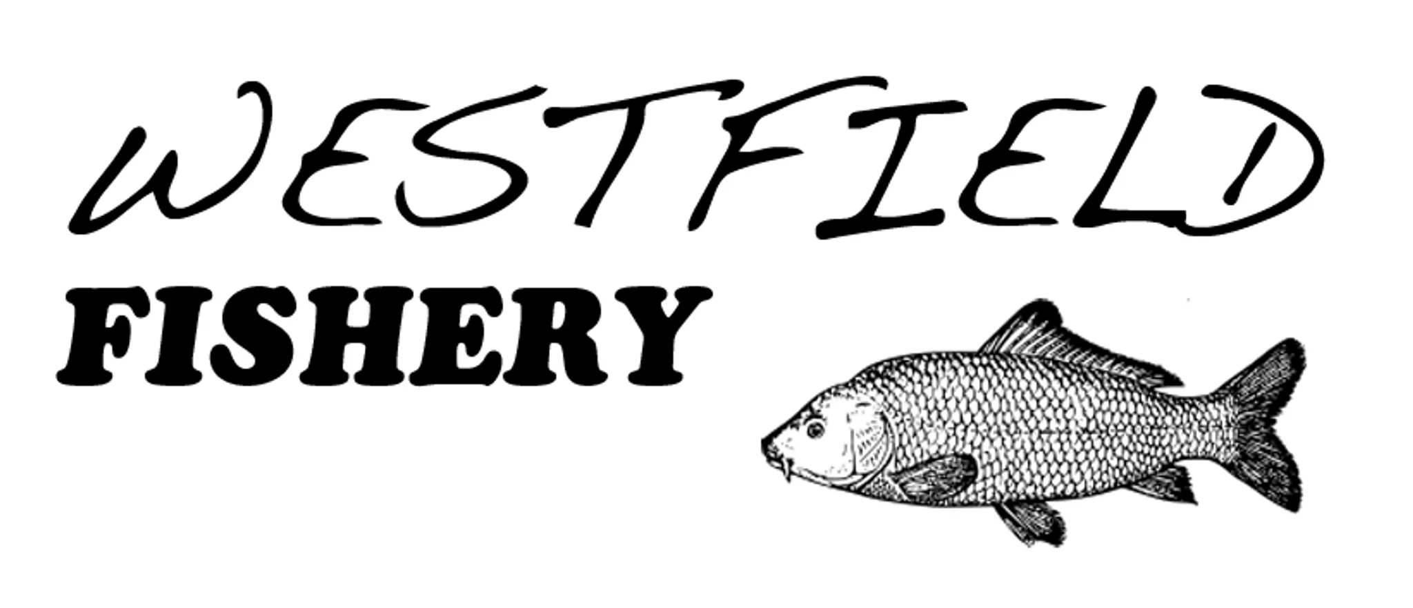 Westfield Fishery - Exclusive Carp Fishing Lake