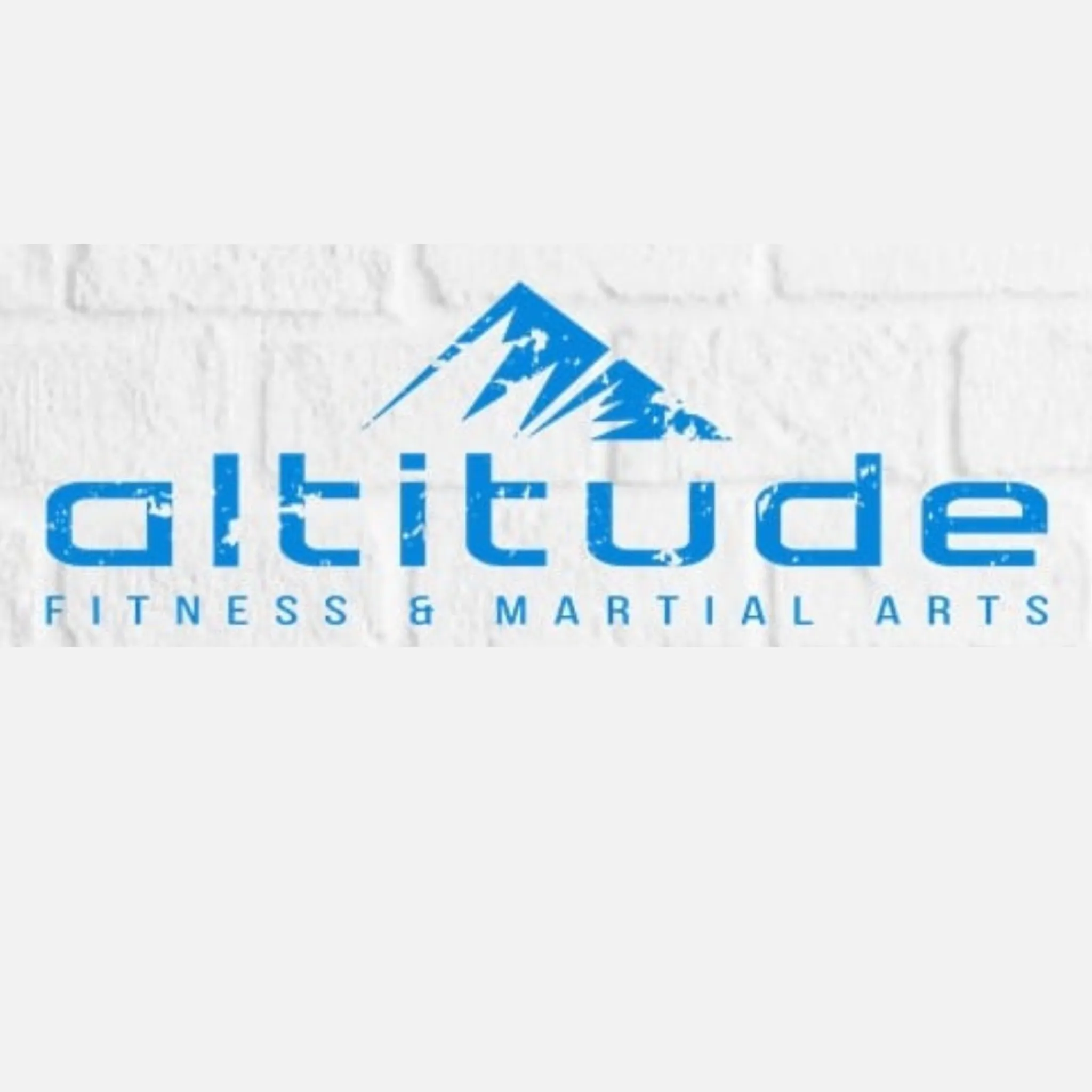 Altitude Martial Arts & Fitness