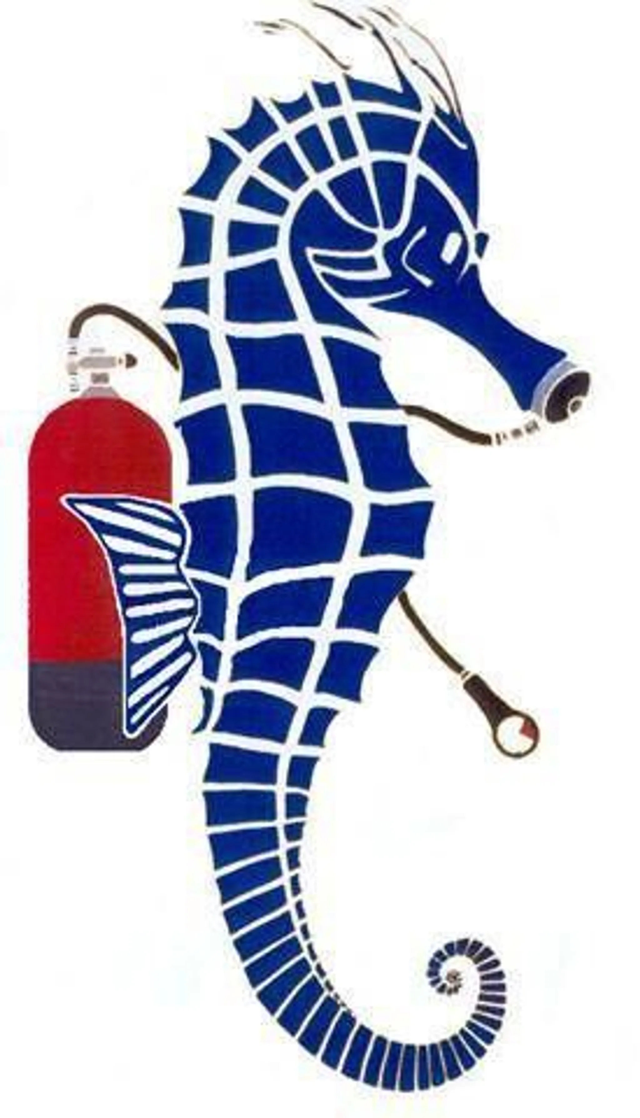 Sea ​​Horse Diving Calvi