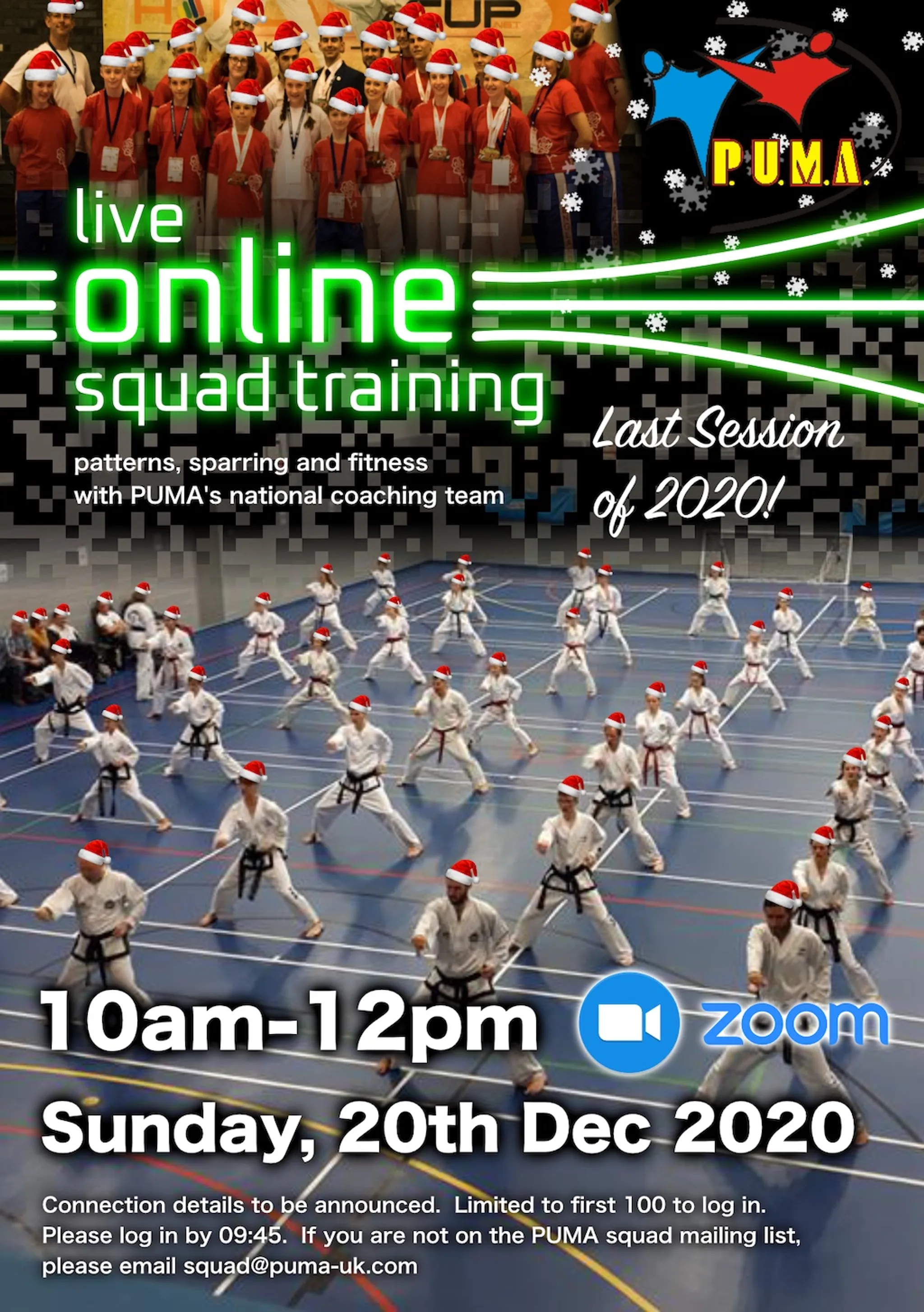 Little PUMA's Martial Arts Class