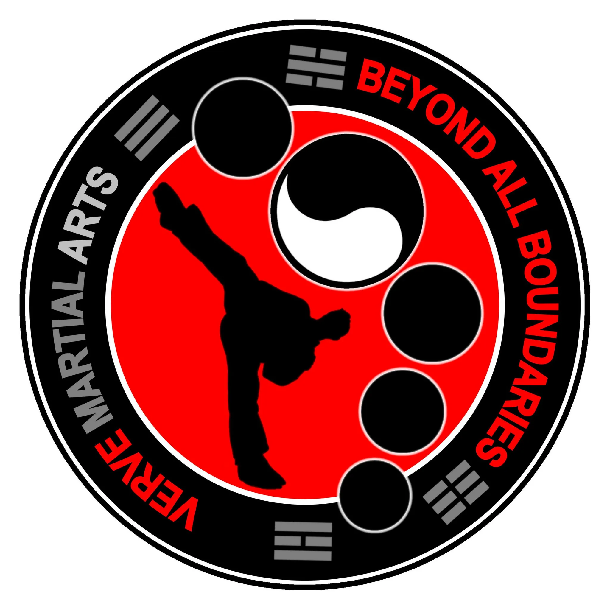 VERVE Martial Arts (Hagley Taekwondo)