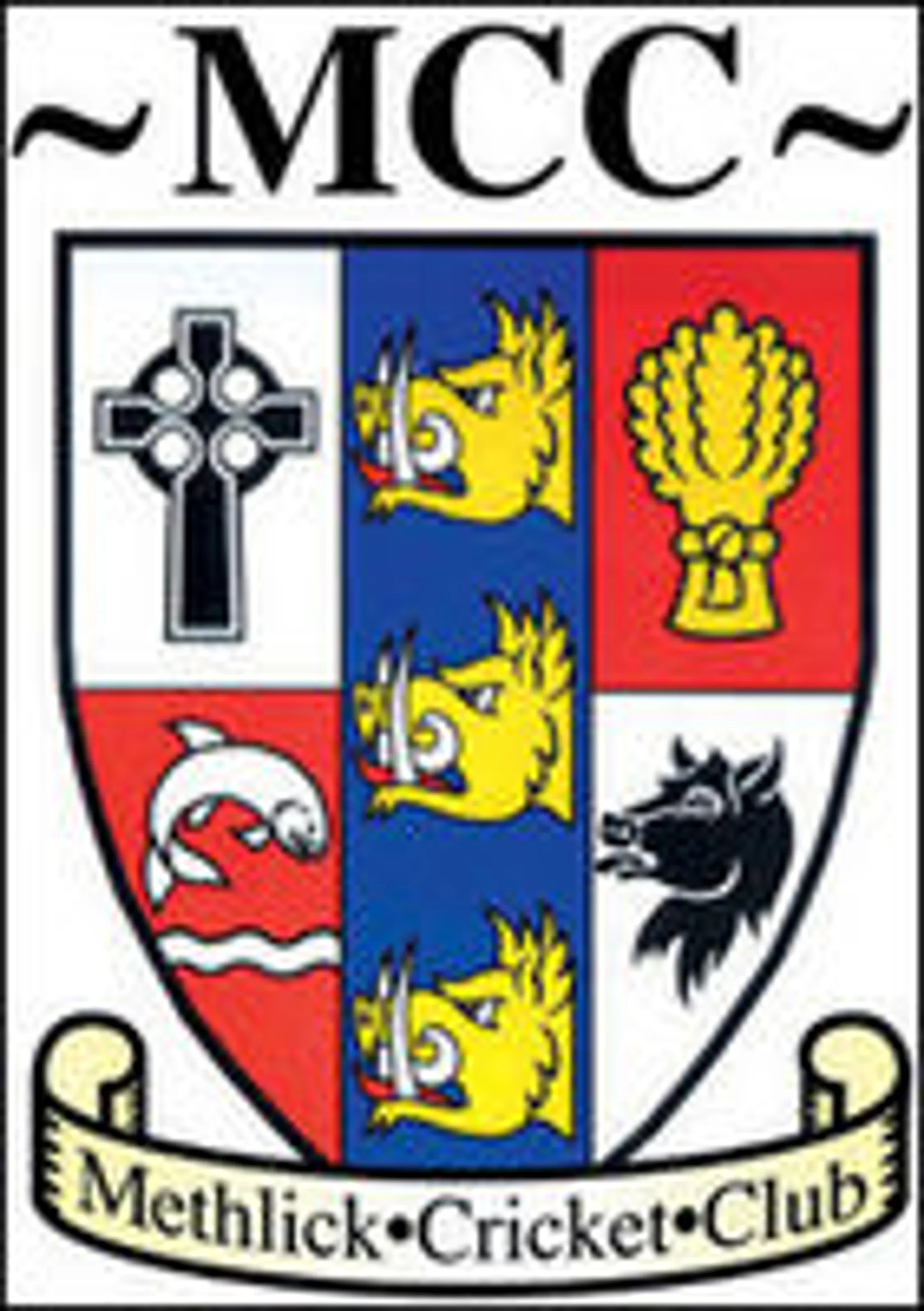 Methlick Cricket Club