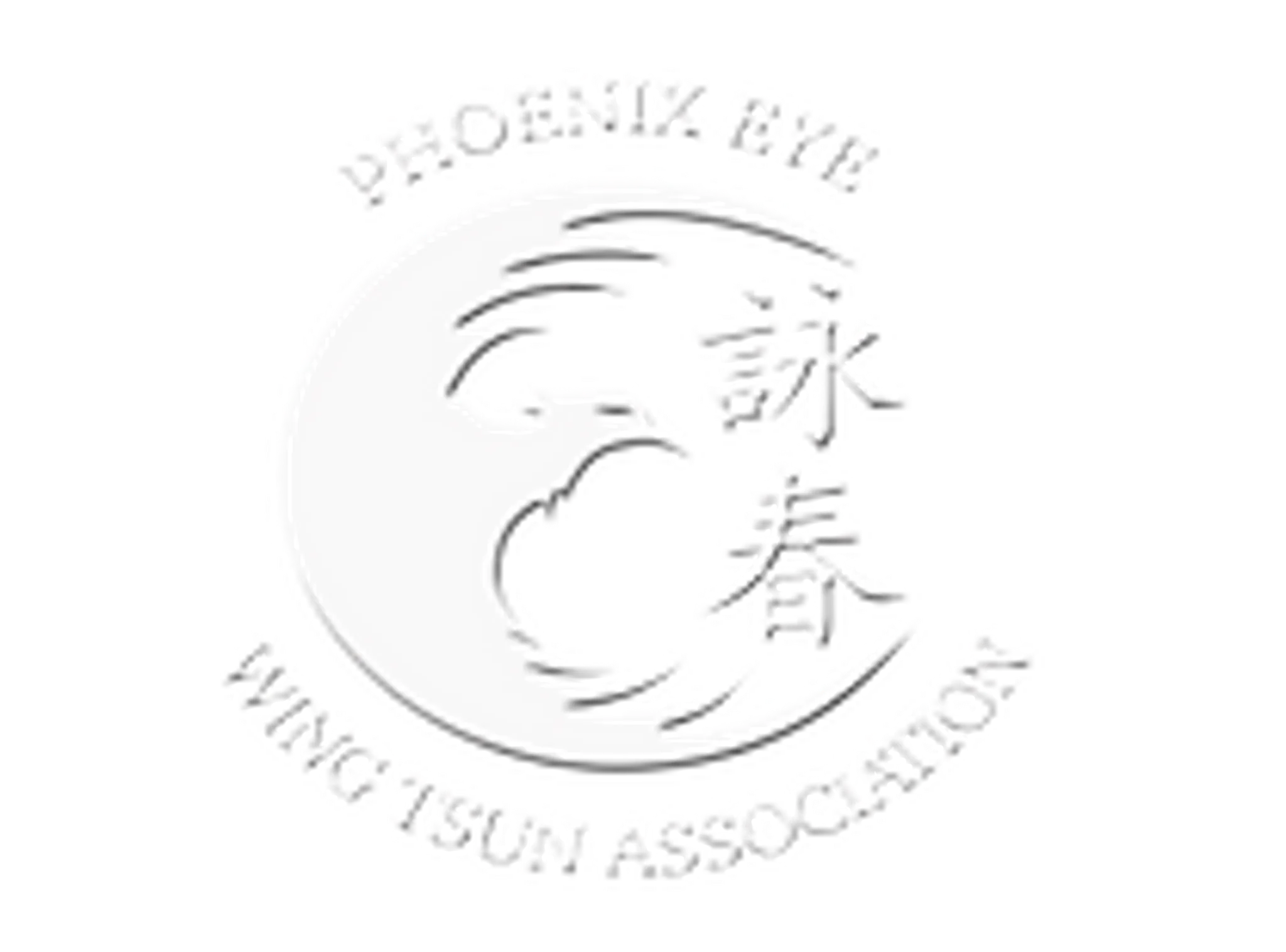 Phoenix Eye Wing Tsun Association - Waterloo