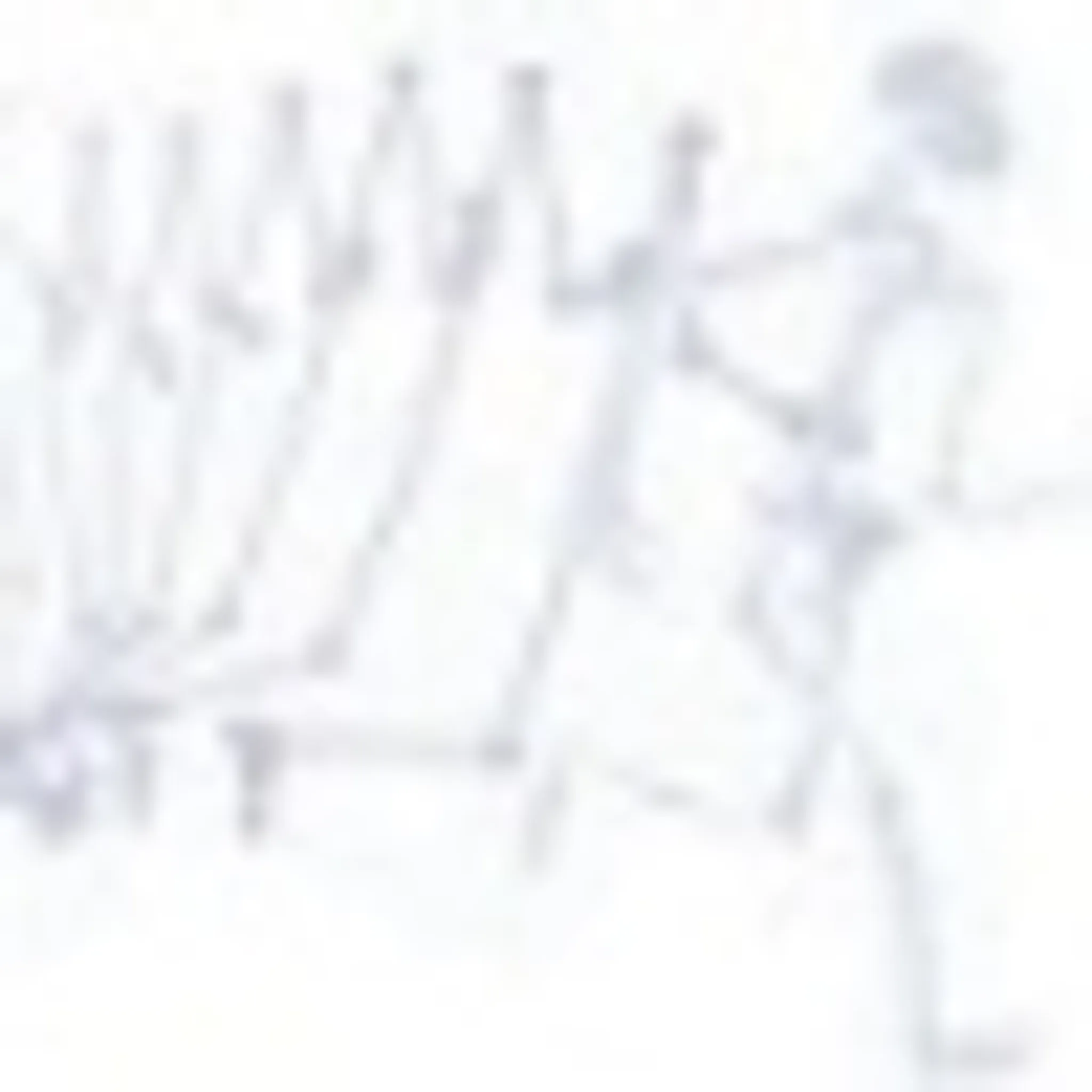 Helen Mulhall Personal Trainer