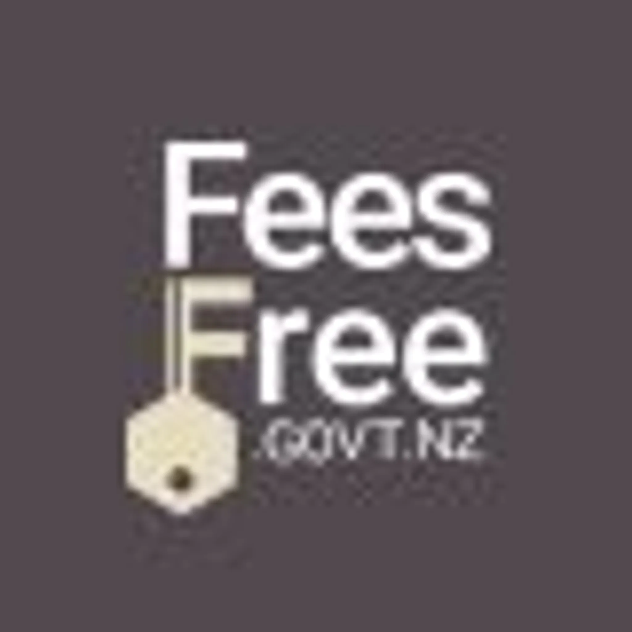 New Zealand Skydiving School