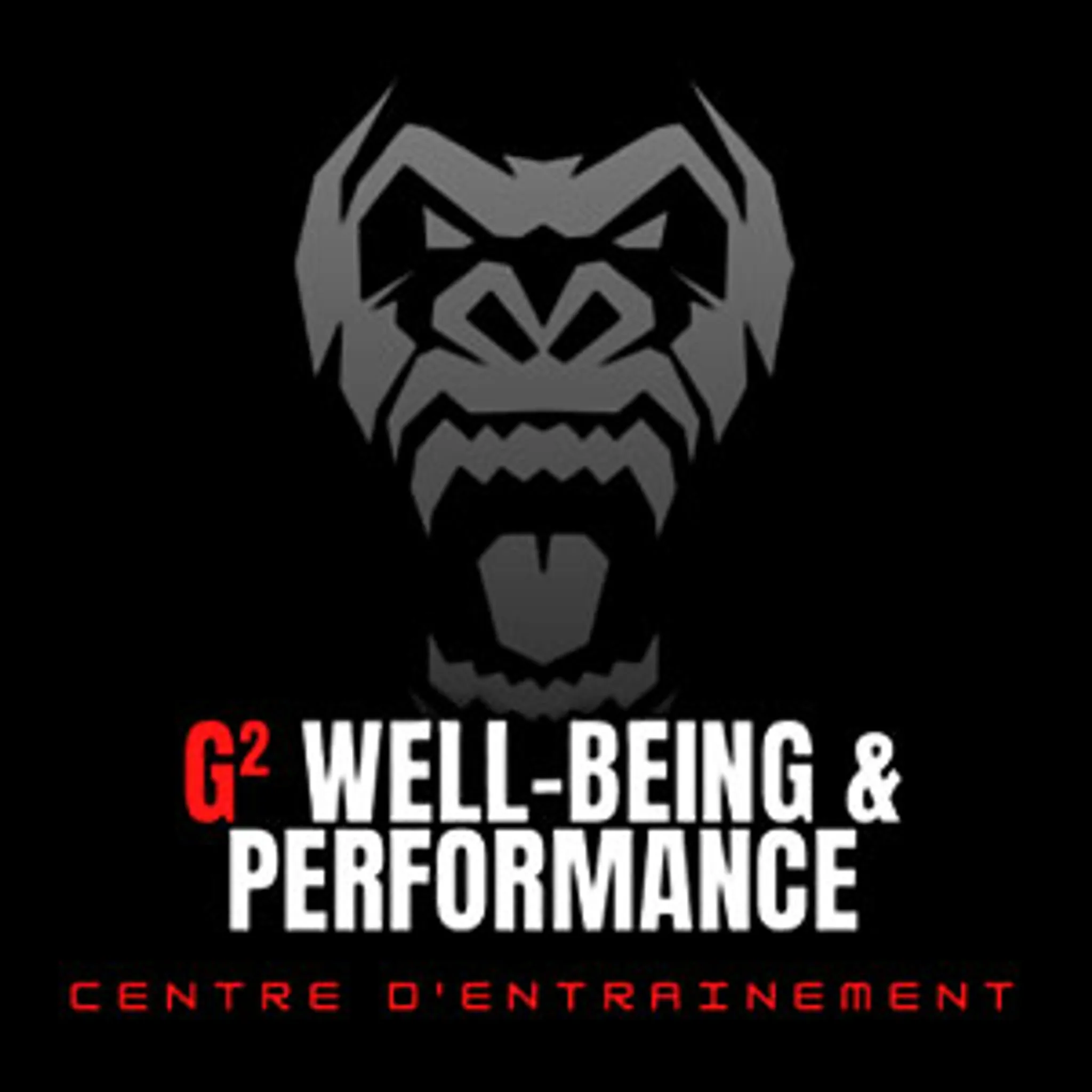 G2 Well-Being And Performance / Well Être Et Performance