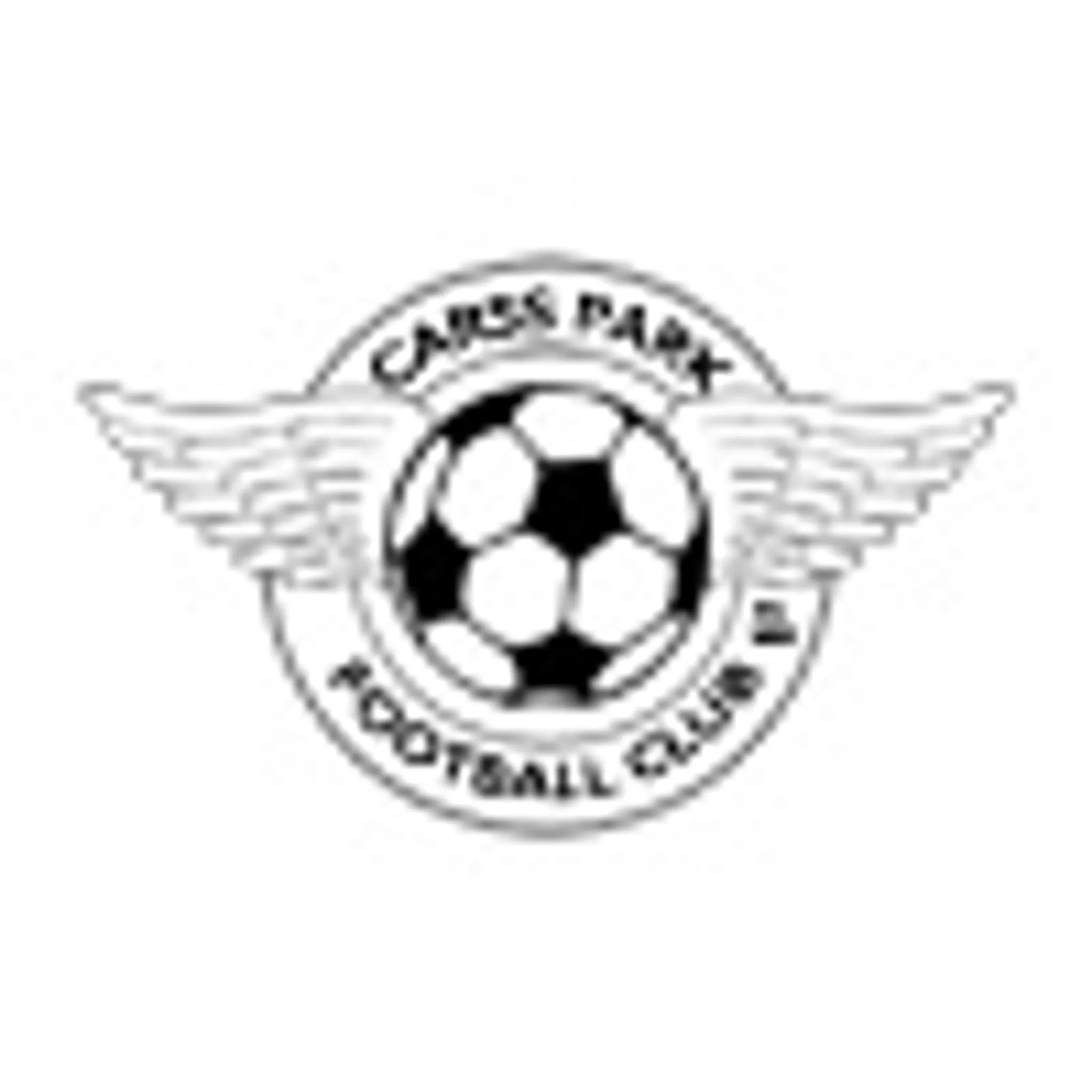 Carss Park Football Club